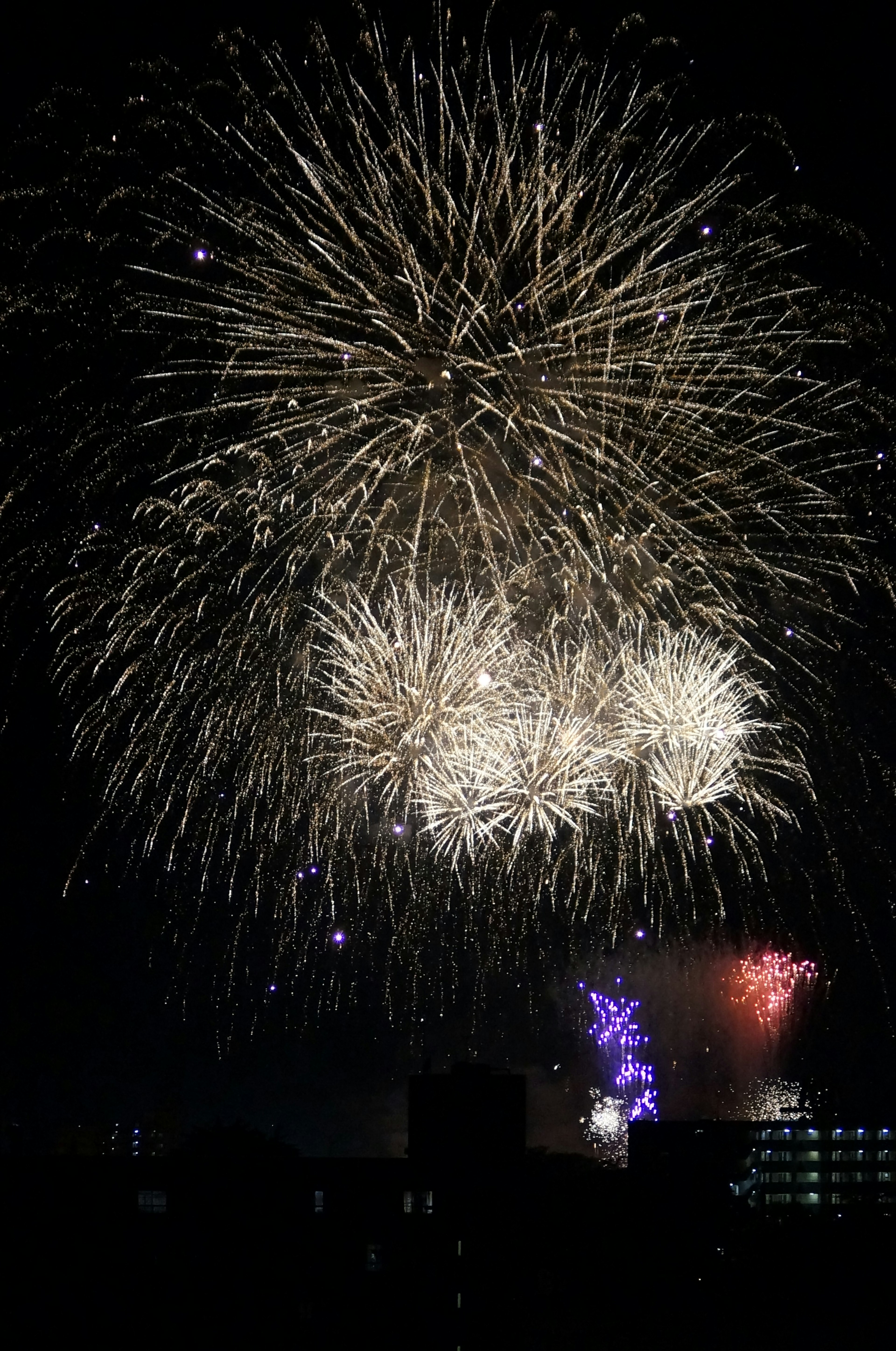 Ein spektakuläres Feuerwerk, das den Nachthimmel erleuchtet