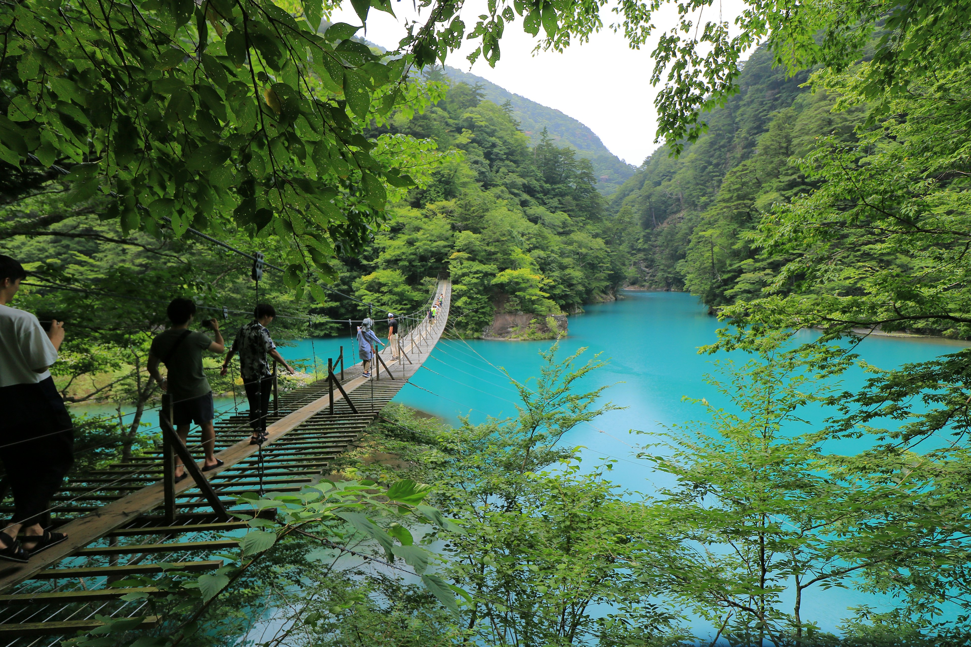 People crossing a suspension bridge over turquoise water surrounded by lush greenery