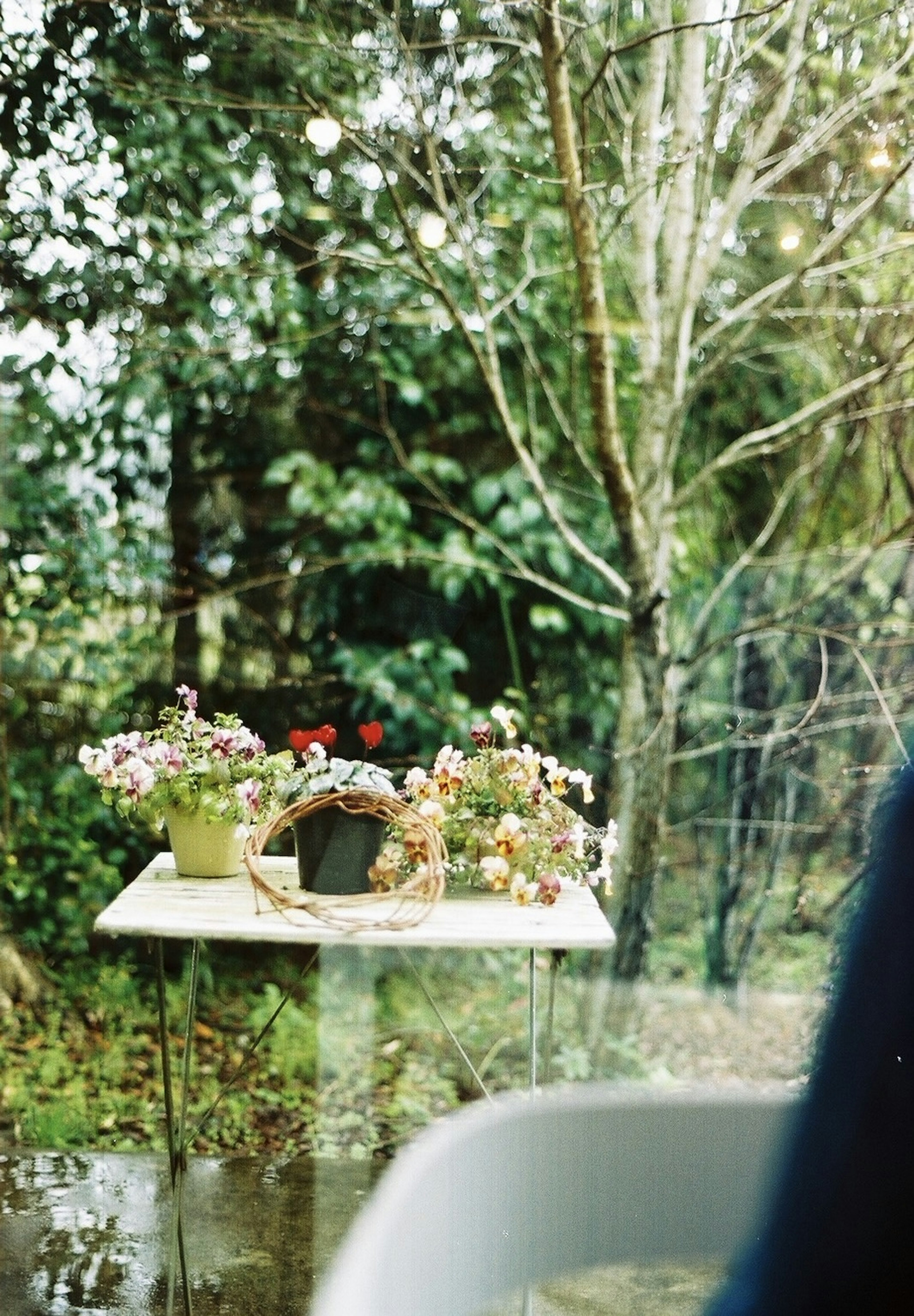 Macetas de flores sobre una mesa transparente con fondo verde