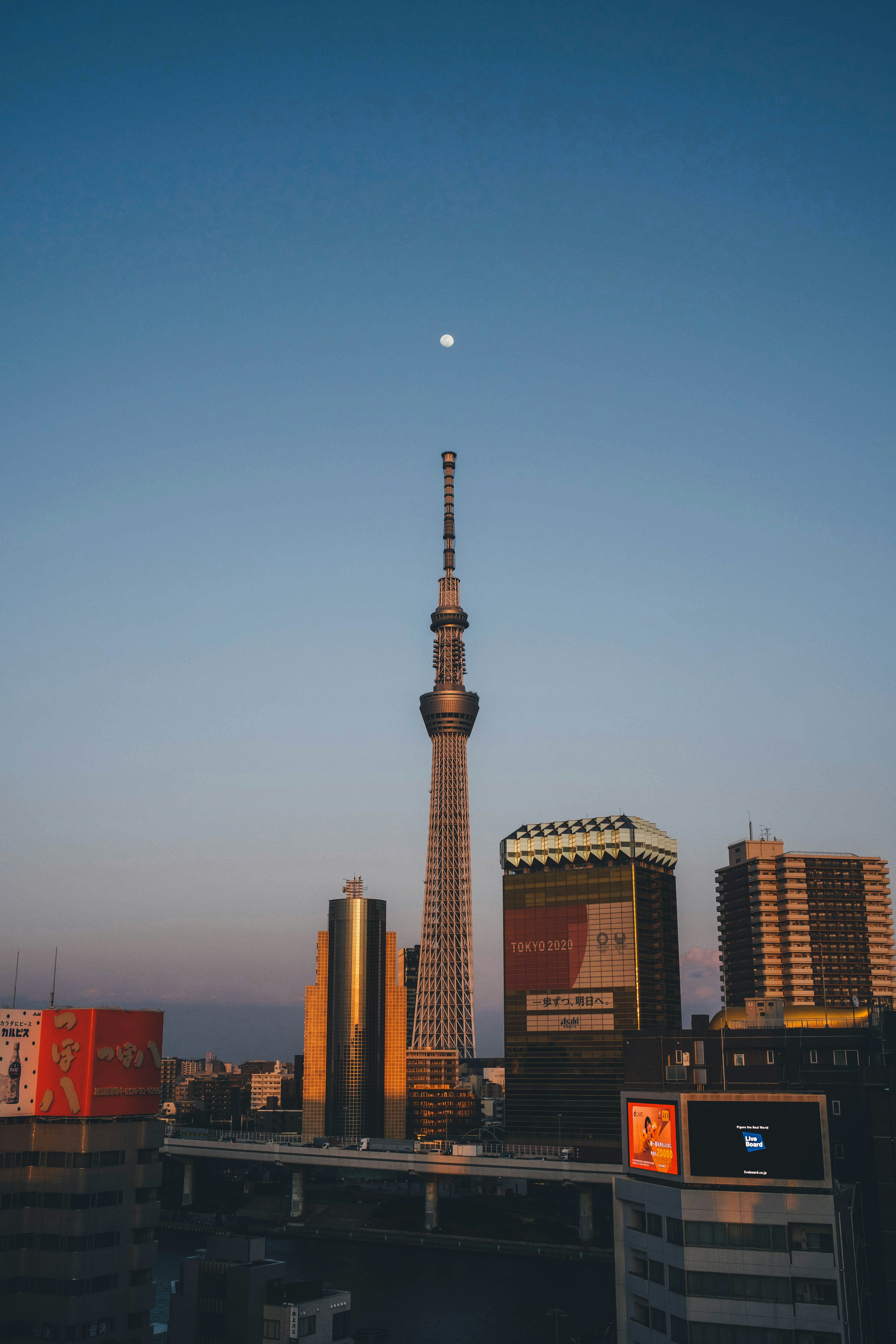 東京スカイツリーの夕暮れのシルエットと月