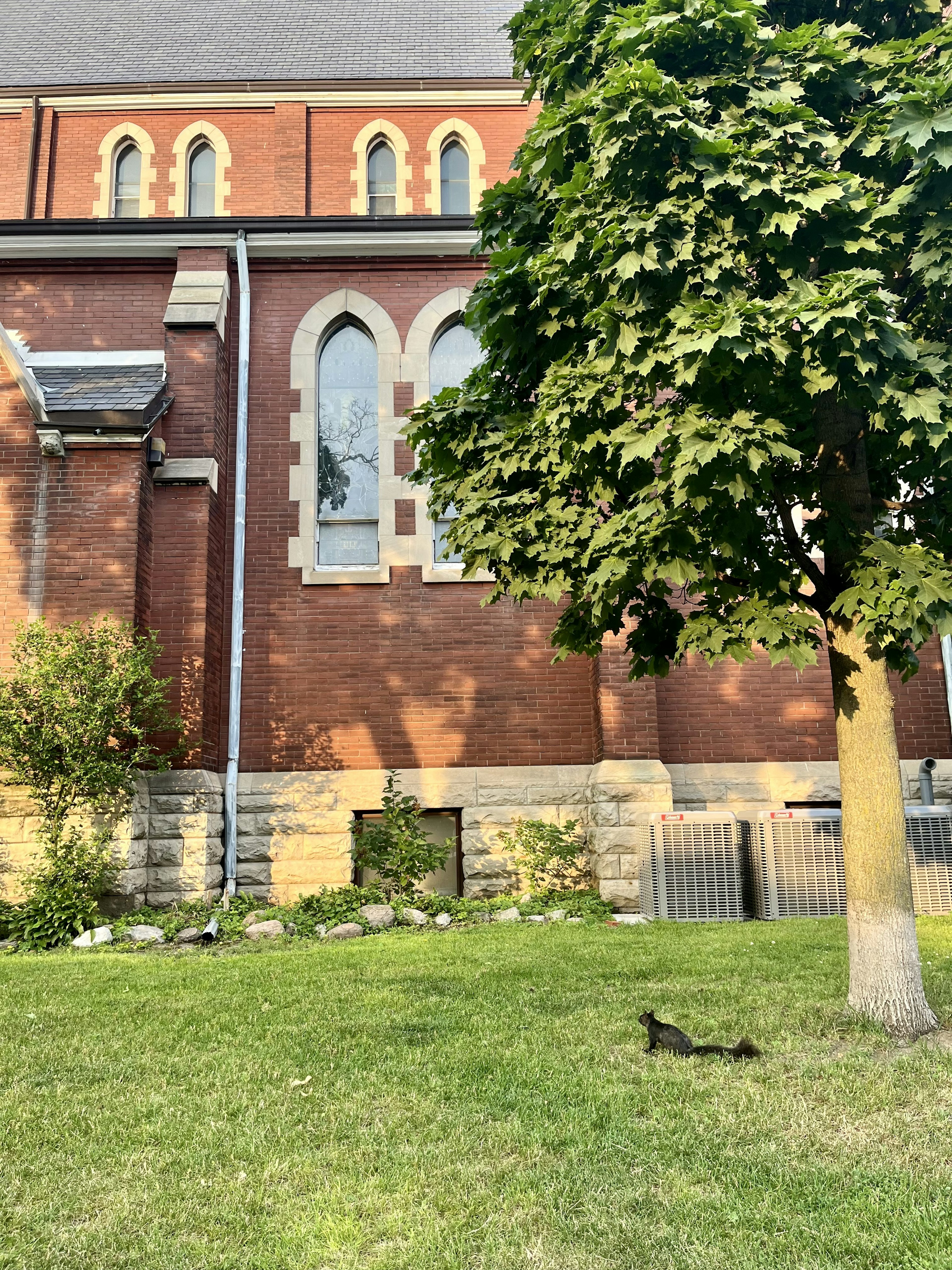 Paesaggio con muro di chiesa in mattoni rossi e albero verde con un gatto nero sull'erba