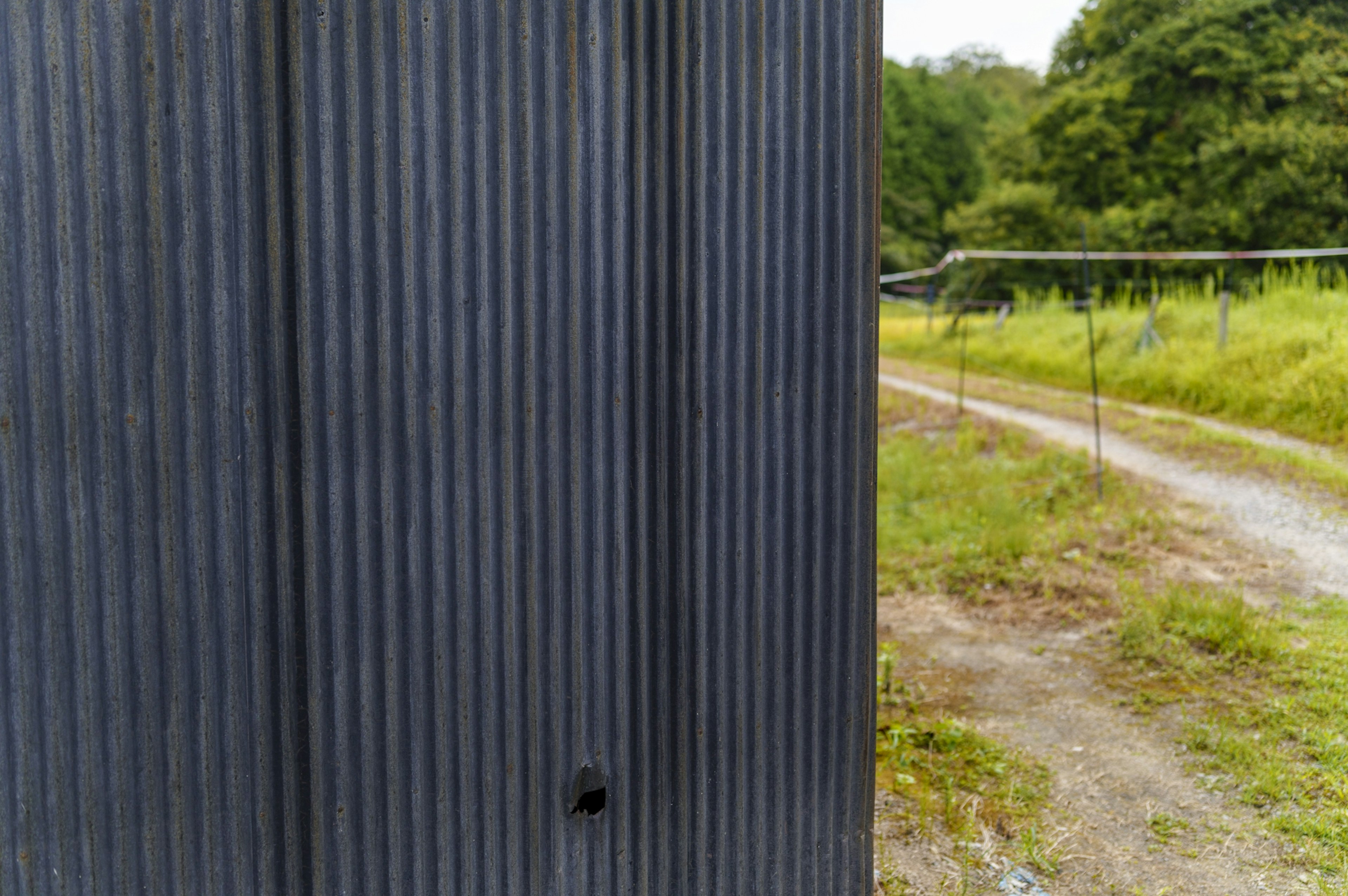 Schwarze gestreifte Wand mit grünem Landschaftshintergrund