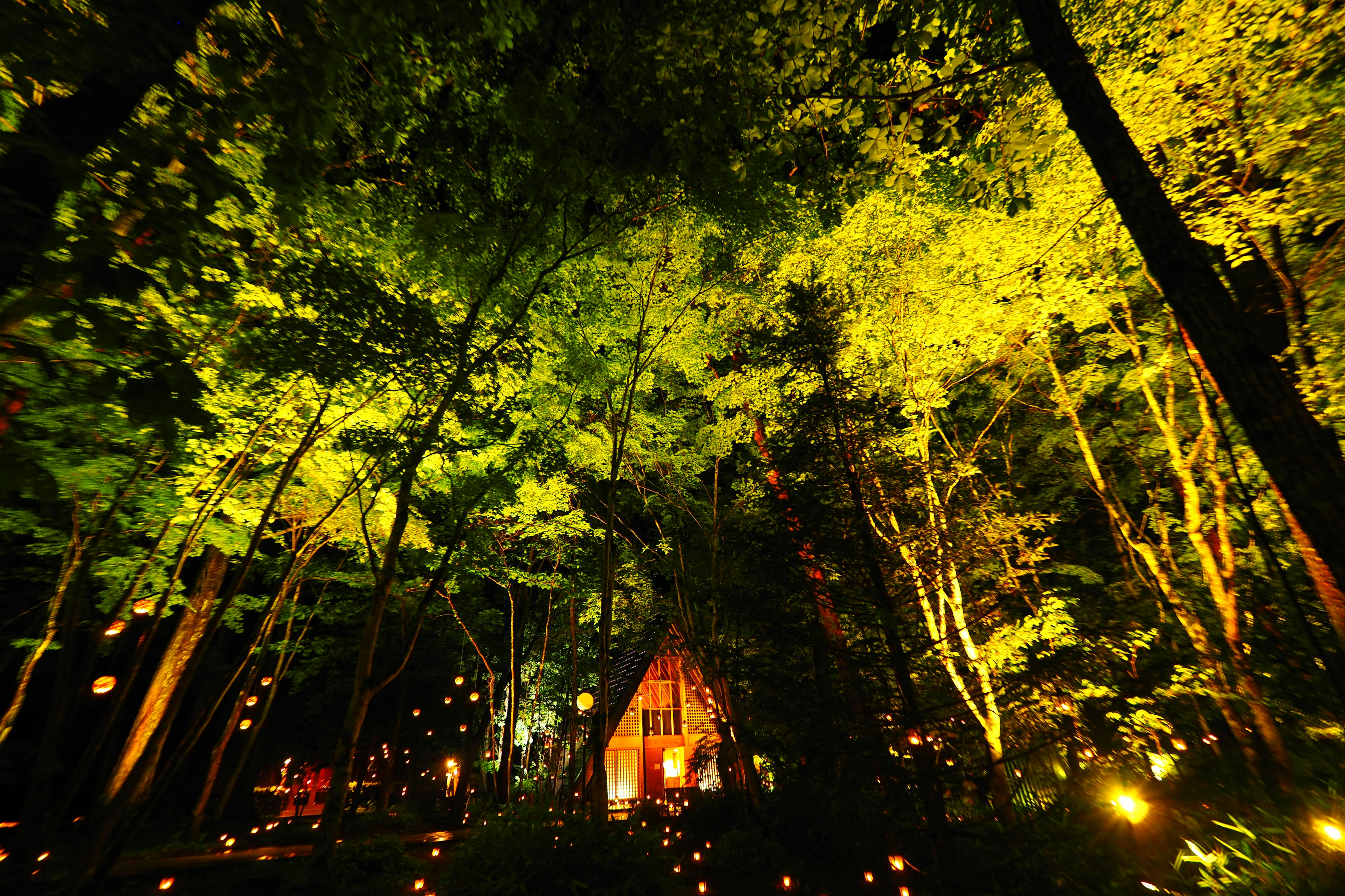 緑の木々に囲まれた幻想的な小屋の夜景