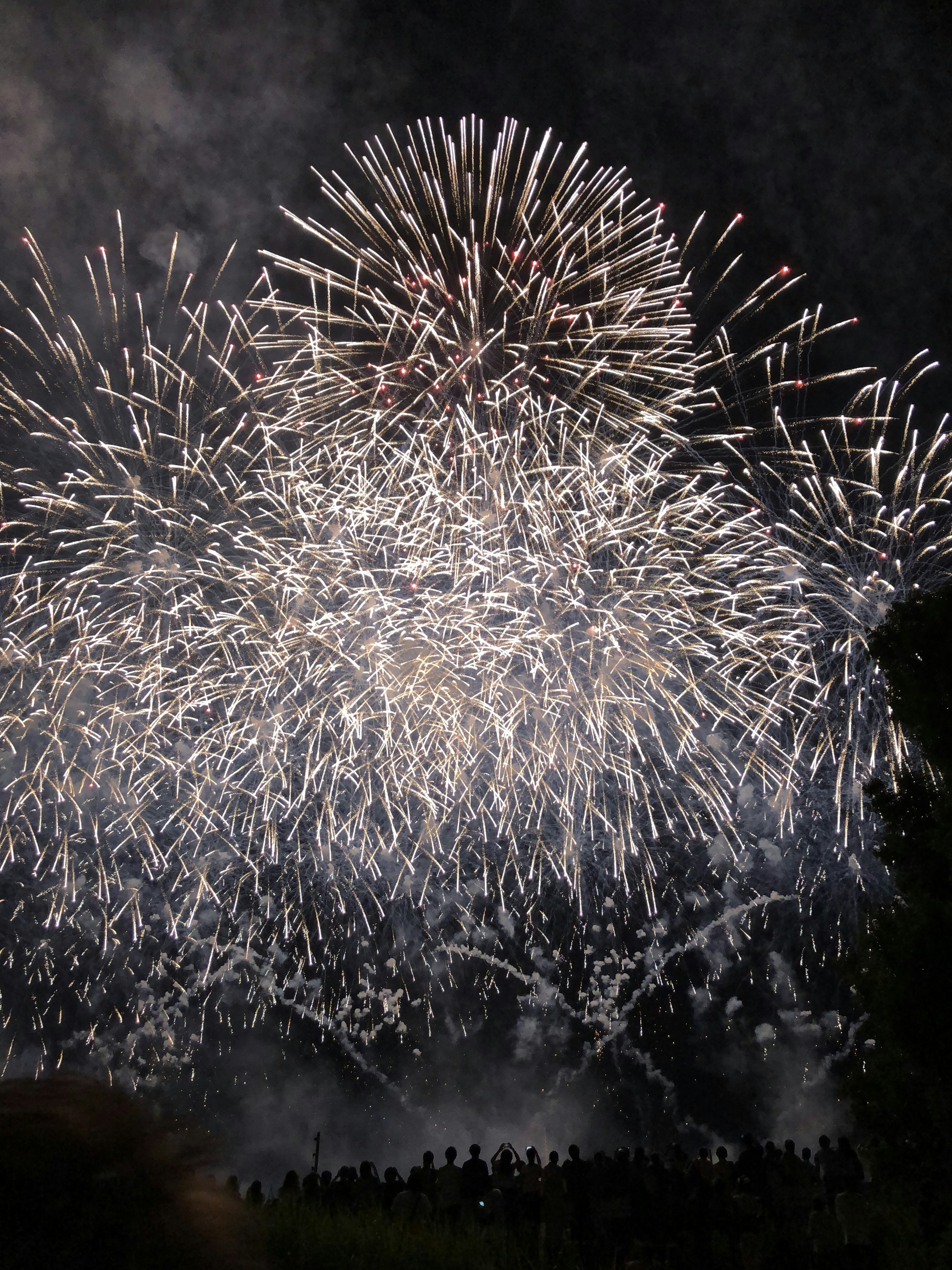 Hermoso espectáculo de fuegos artificiales en el cielo nocturno con siluetas de personas