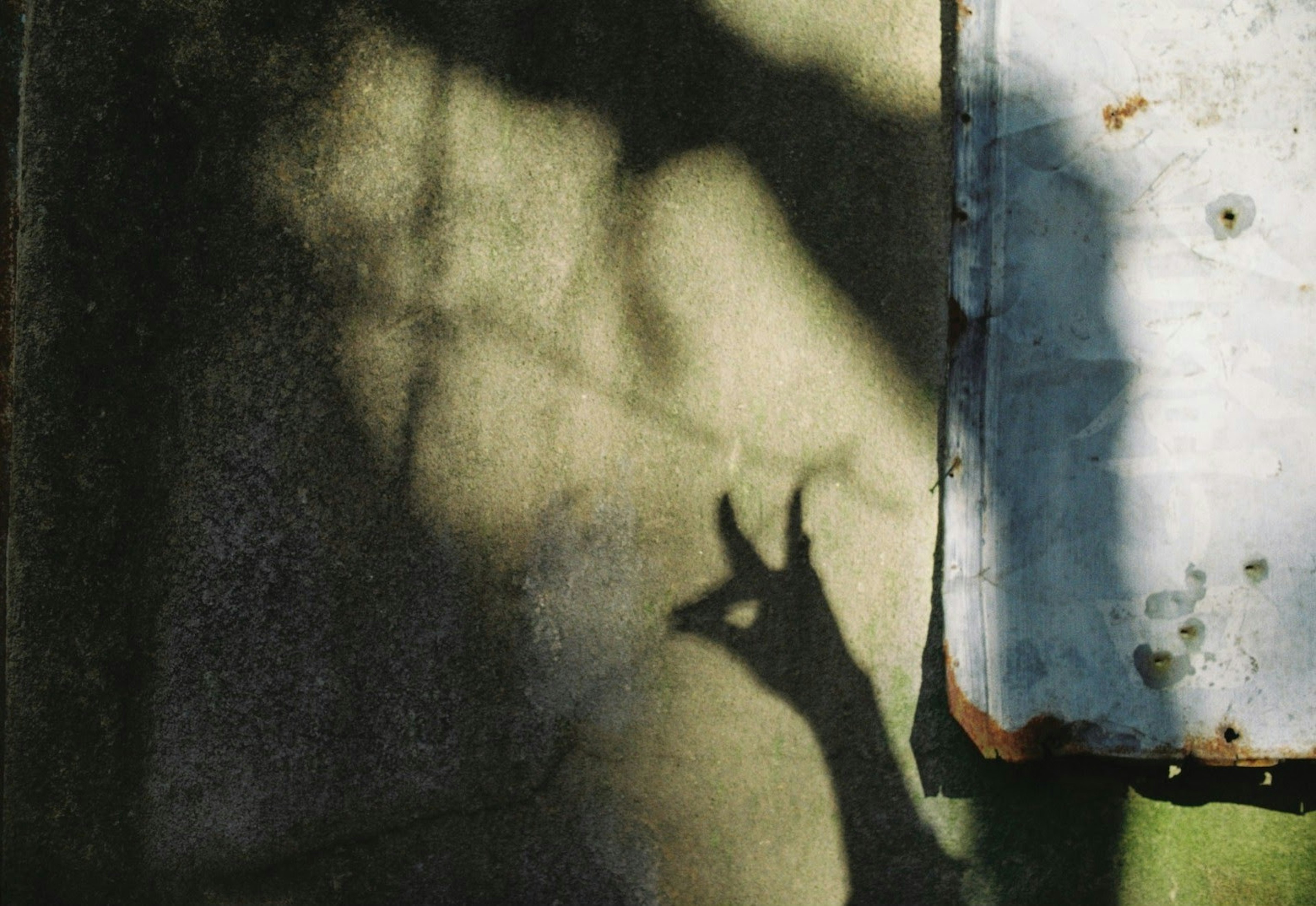 Schatten einer Hand, die eine Form an einer strukturierten Wand bildet