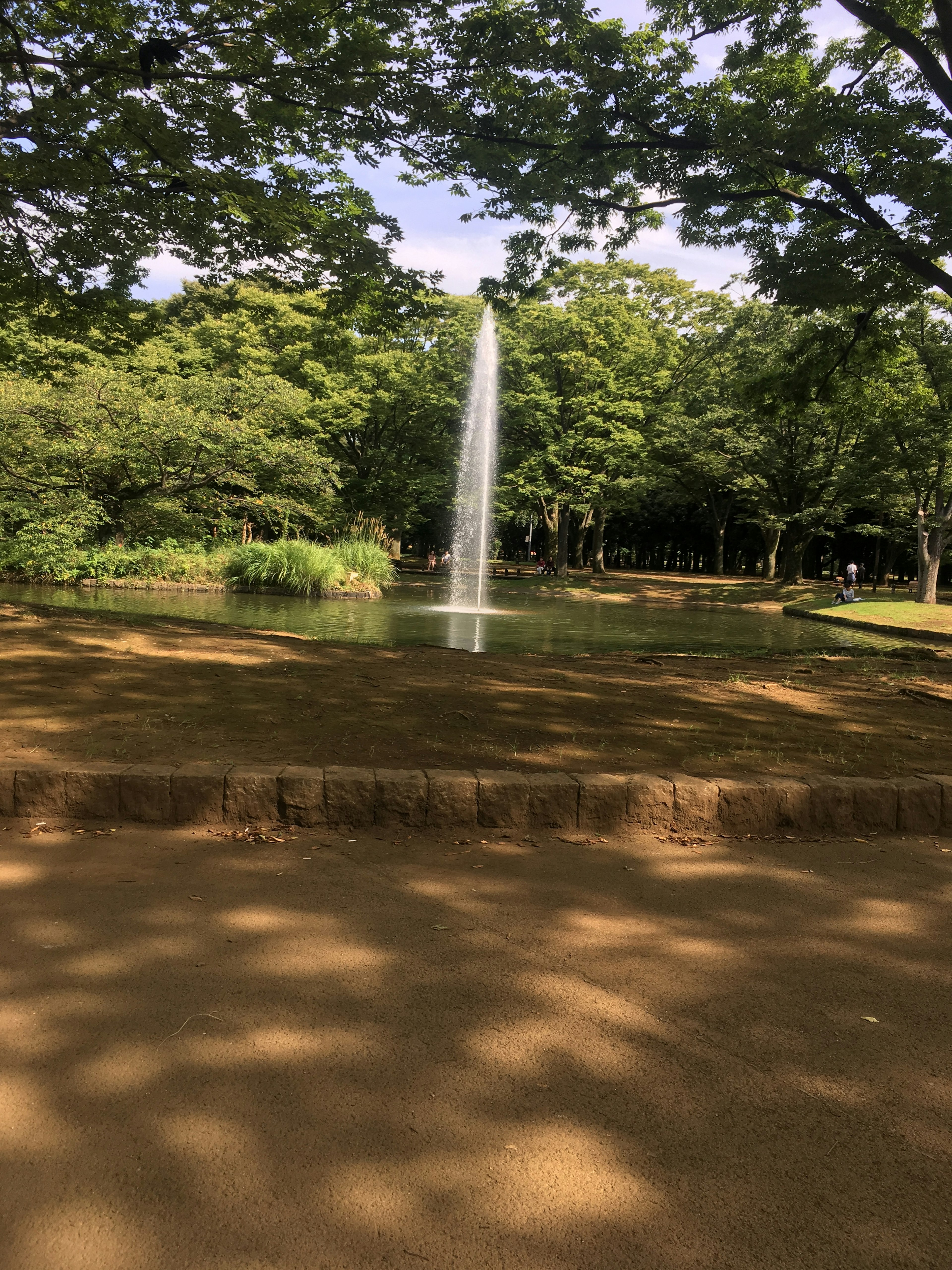 Fountain in a park pond surrounded by lush green trees