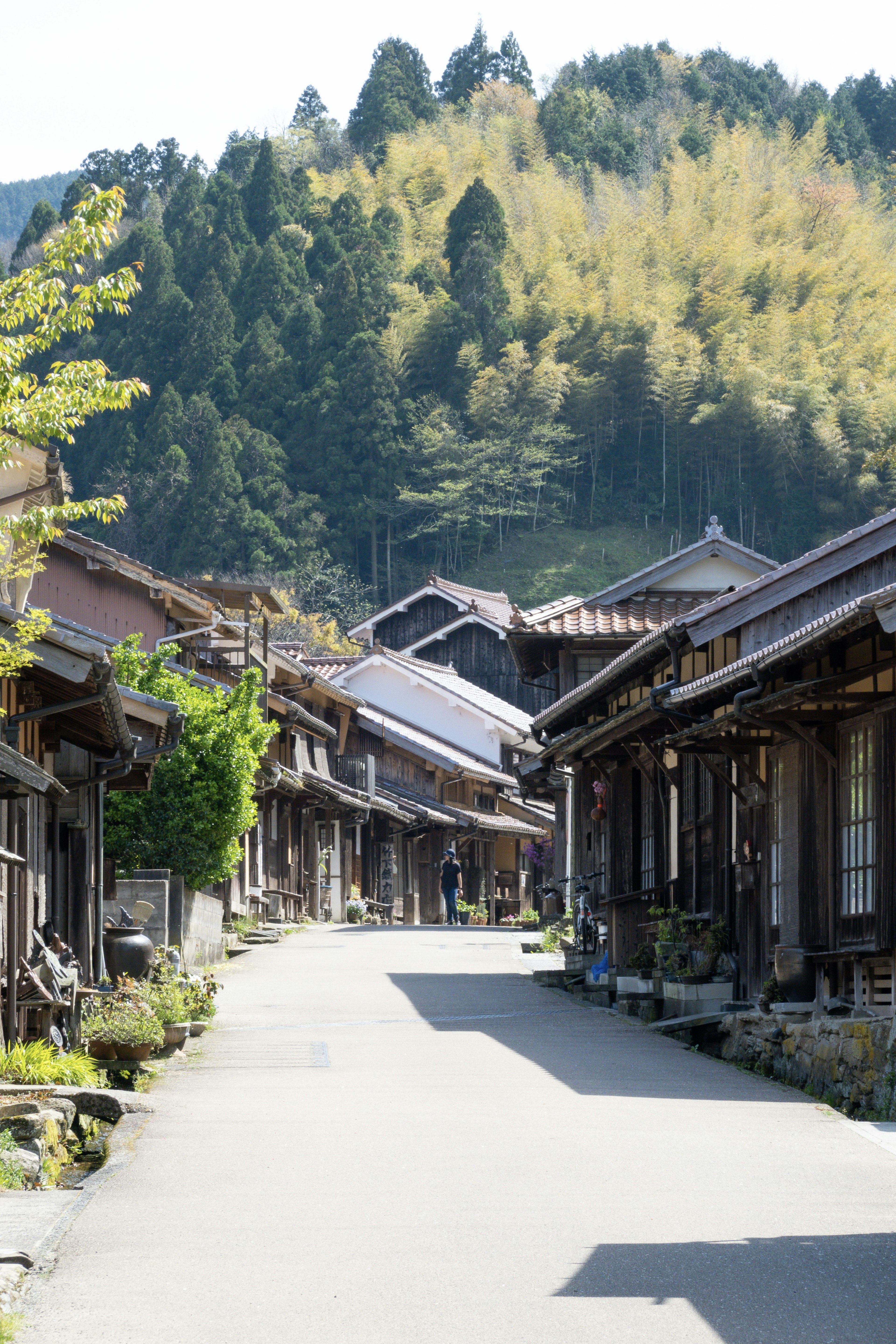 日本の伝統的な町並み 緑豊かな山々と古い建物が並ぶ道