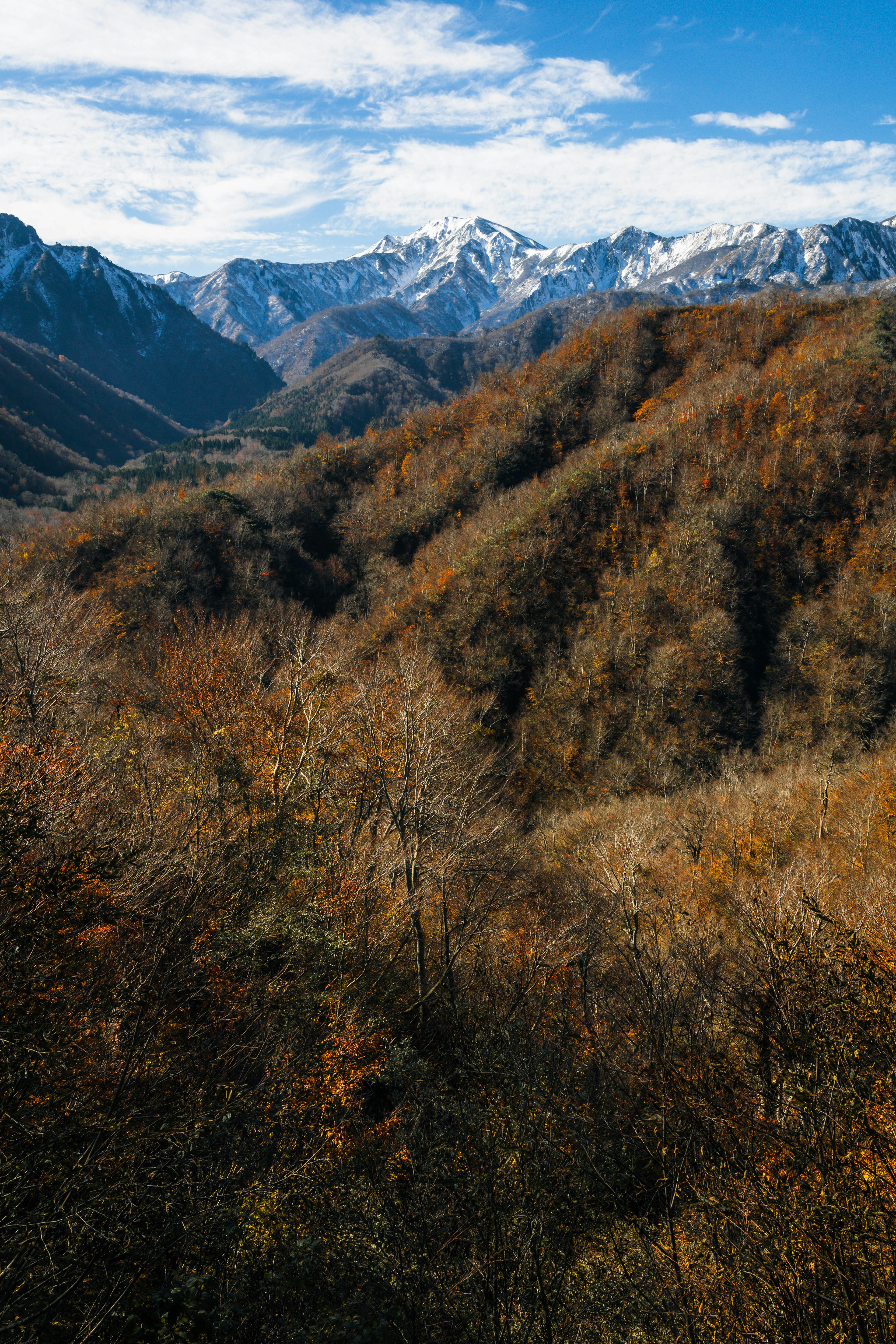 美しい山々と秋の色合いが広がる風景