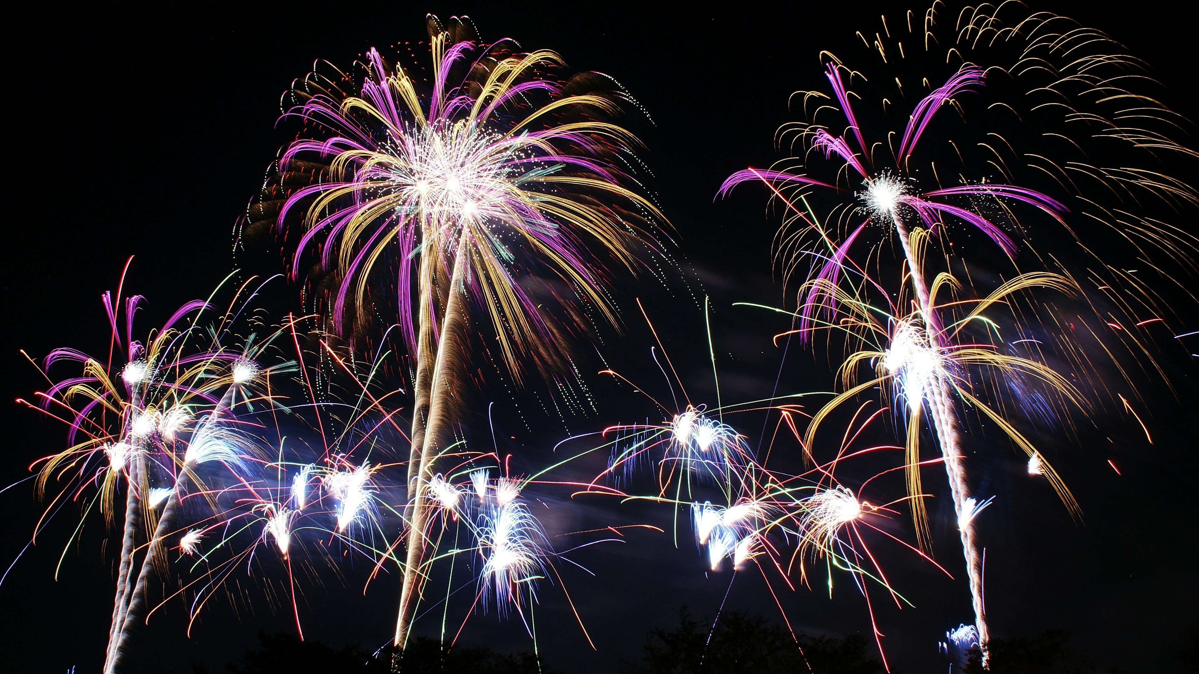 Fuegos artificiales coloridos estallando en el cielo nocturno