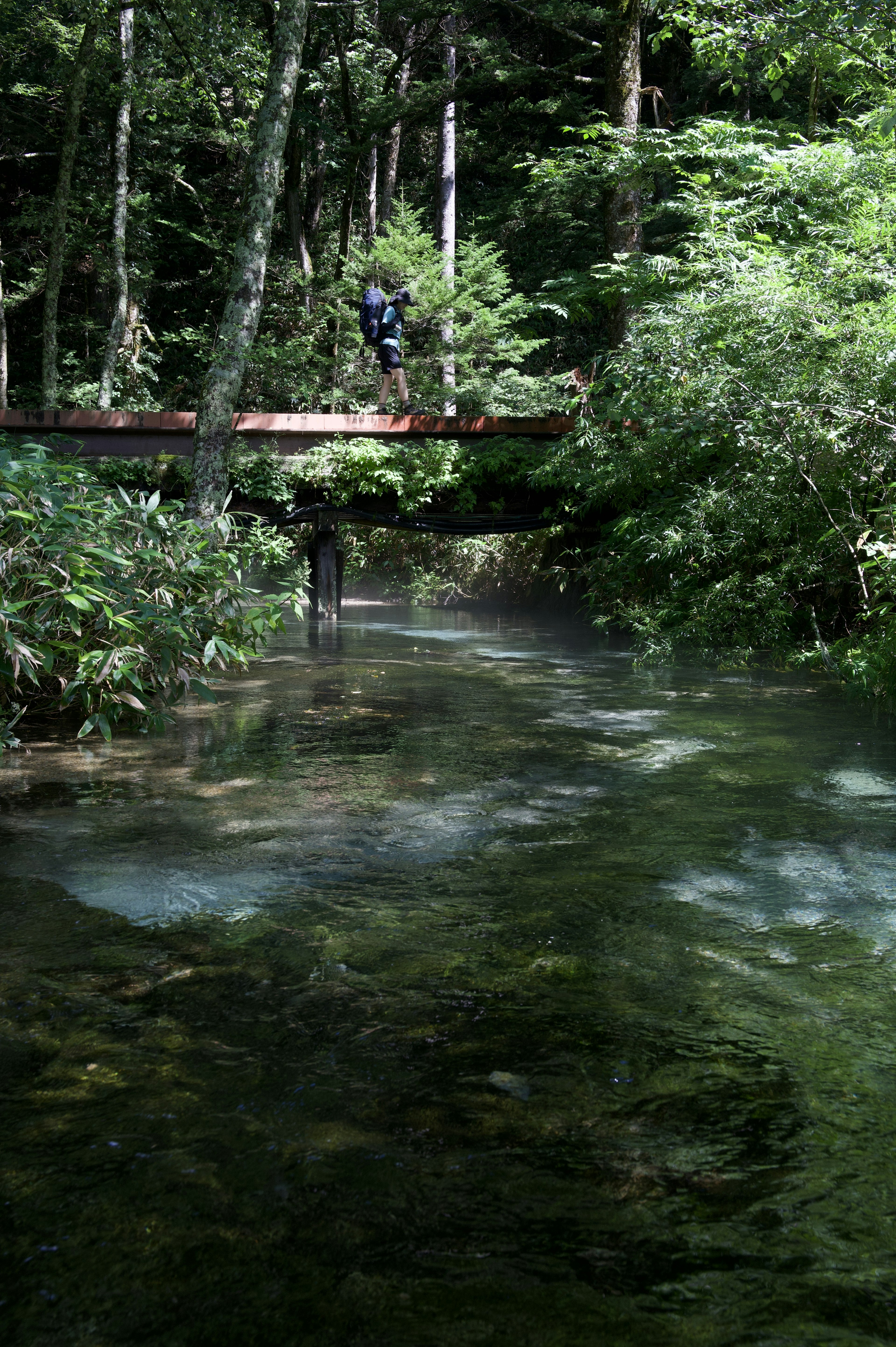 Puente de madera sobre un arroyo rodeado de vegetación exuberante con una persona de pie sobre él