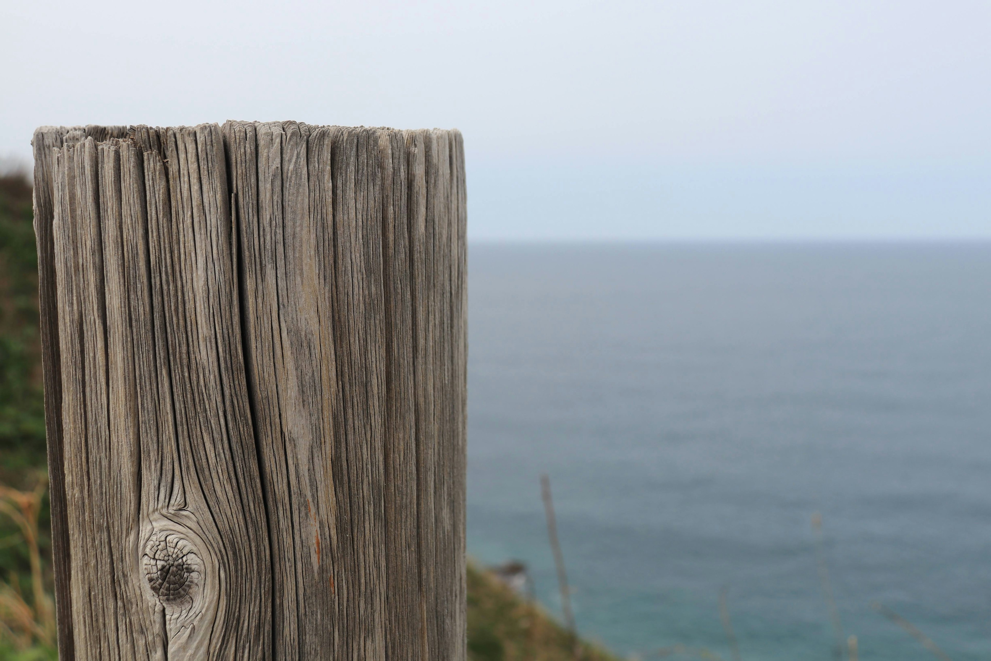 Primo piano di un palo di legno con l'oceano sullo sfondo