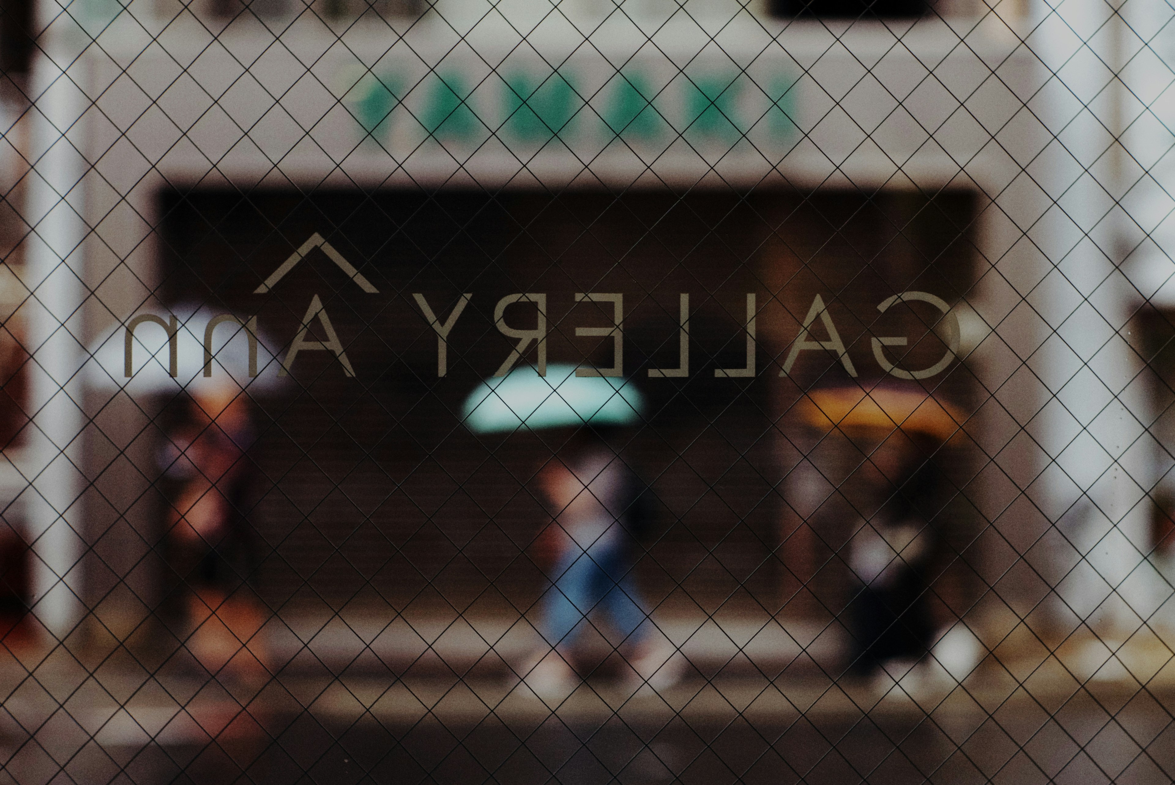 photo-Cz6I7cW4UQ6A6j4yqVhN-image