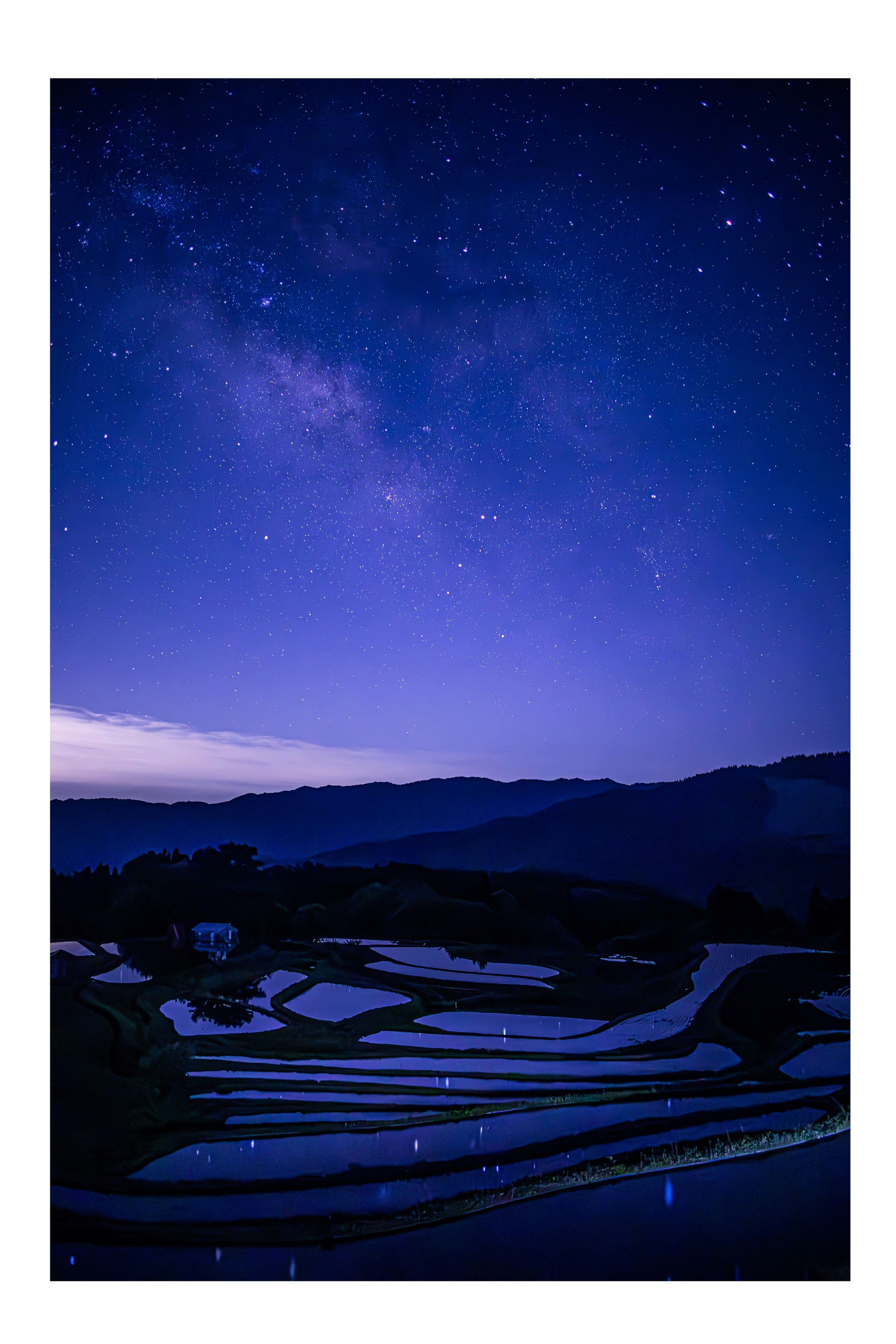 Paisaje nocturno de arrozales en terrazas bajo un cielo estrellado