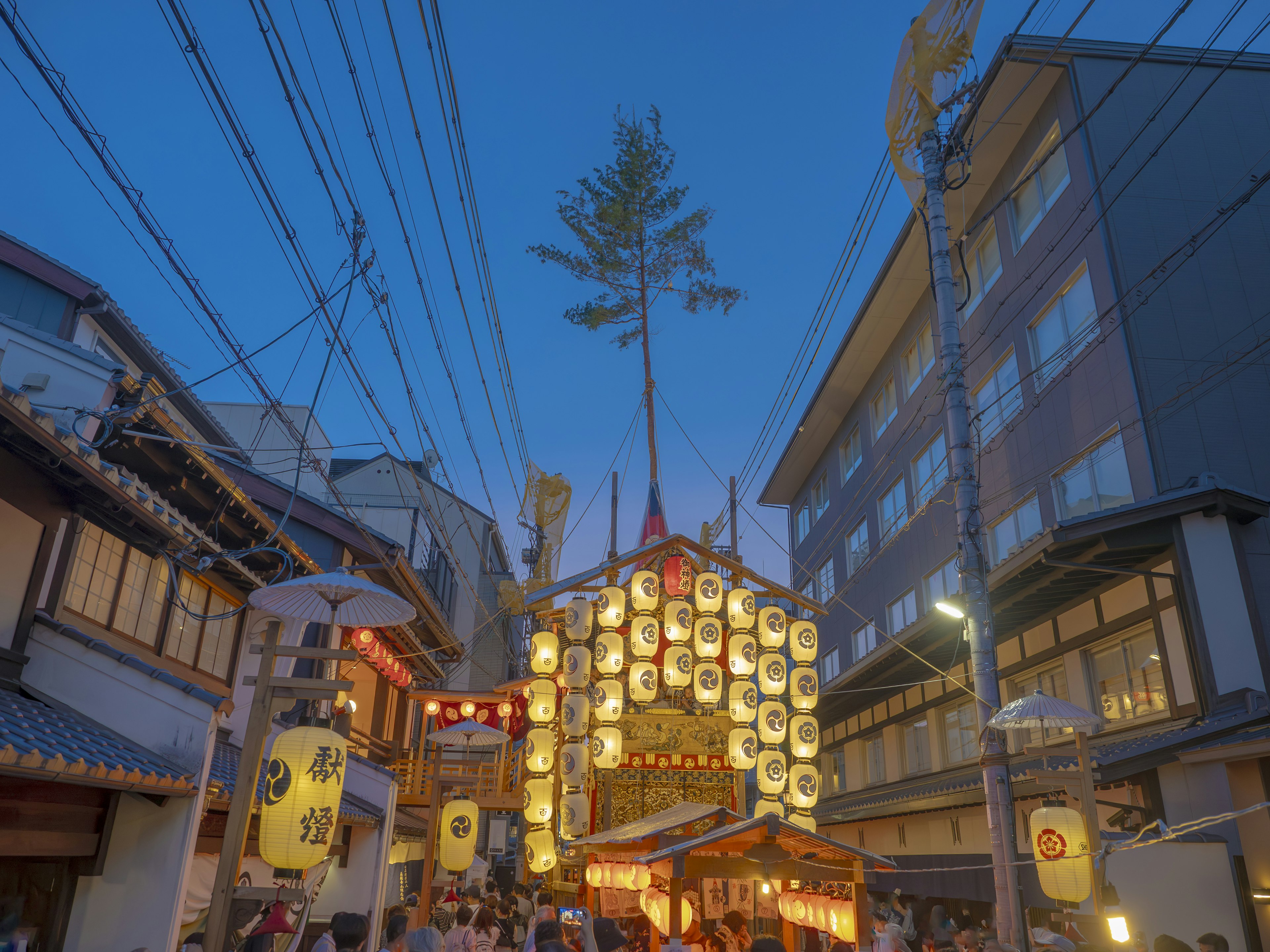 夜间街道上的节日场景，灯笼和一棵树