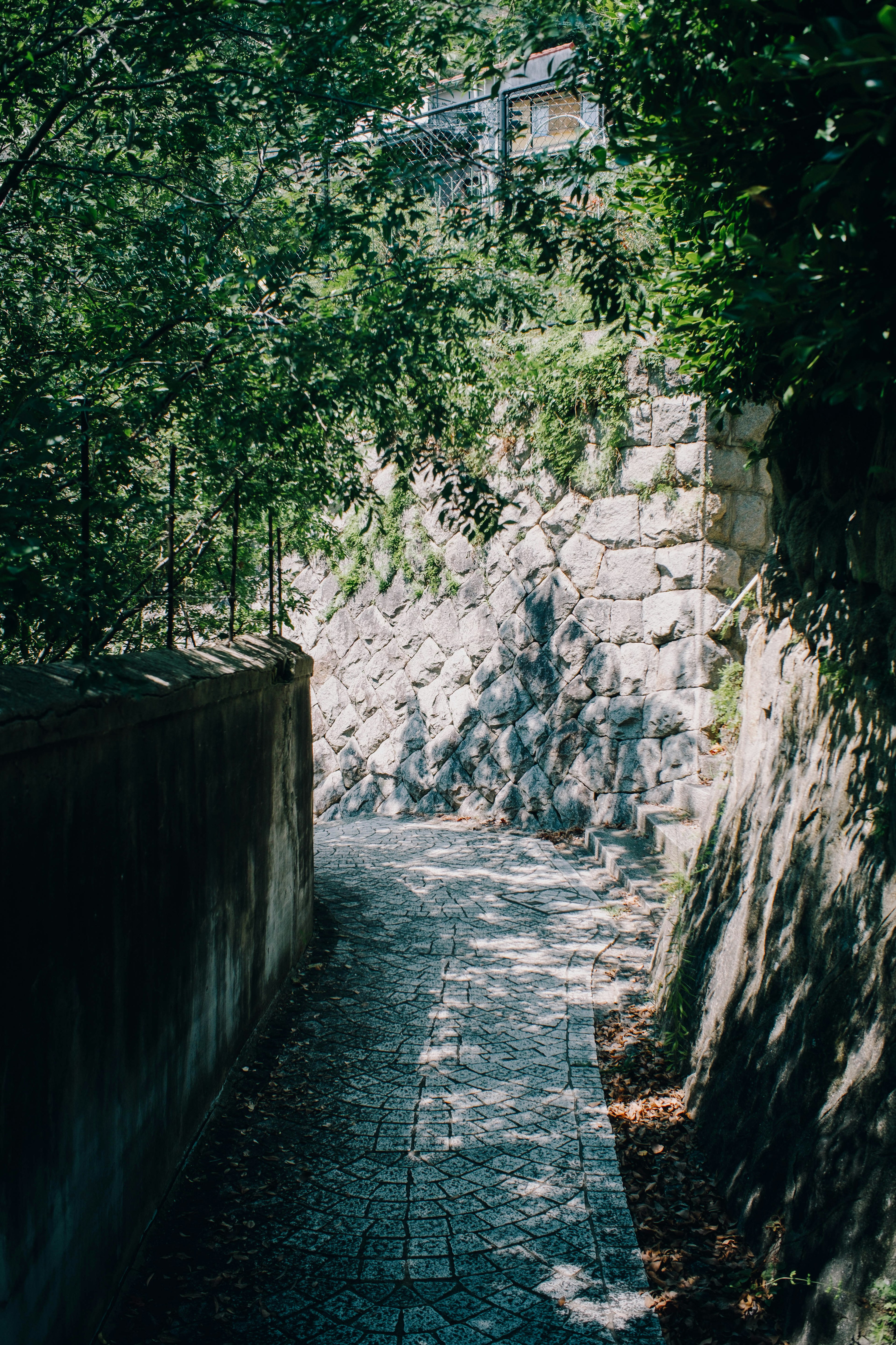 A quiet pathway lined with stone walls and surrounded by green foliage