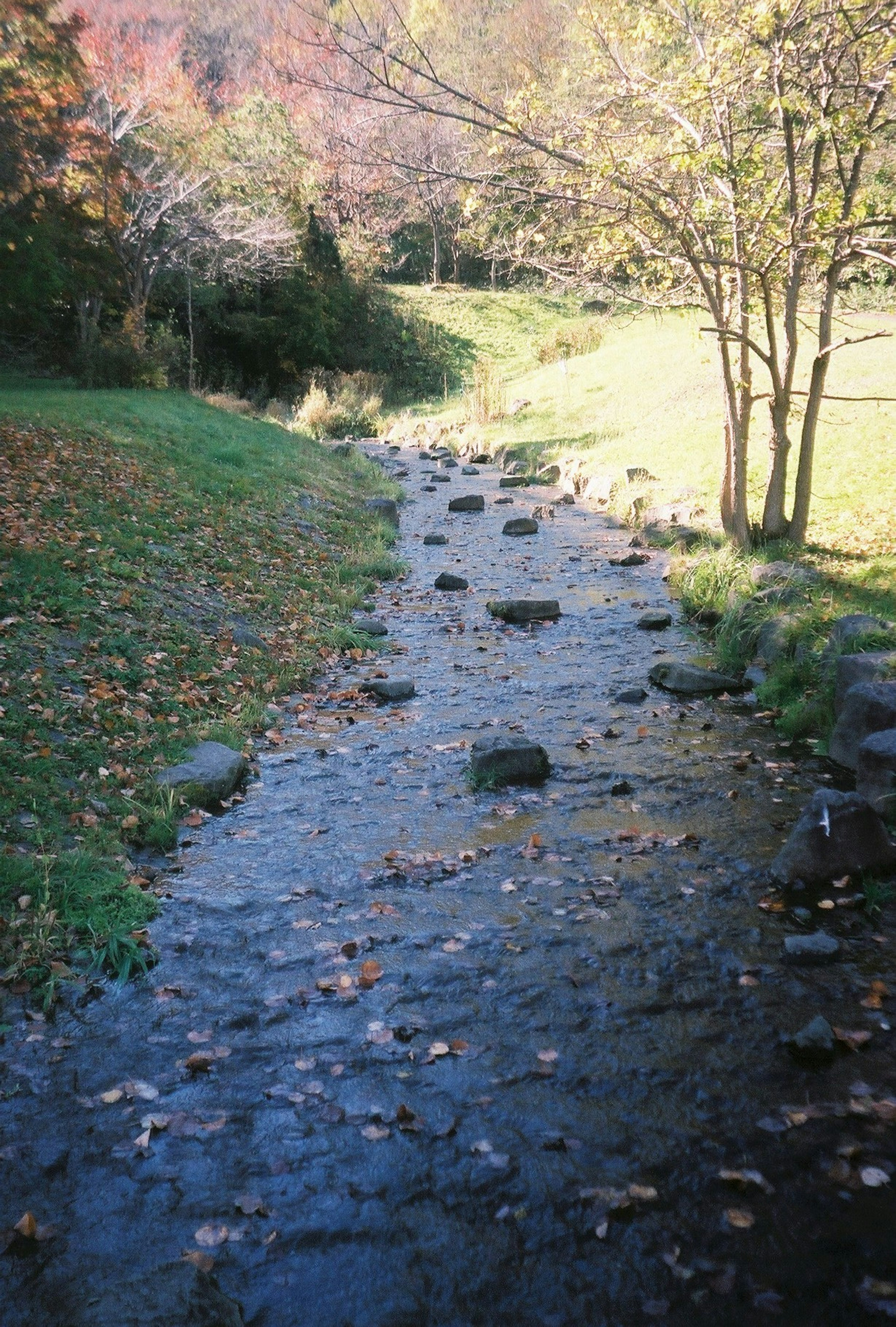 小川が石を越えて流れる秋の風景