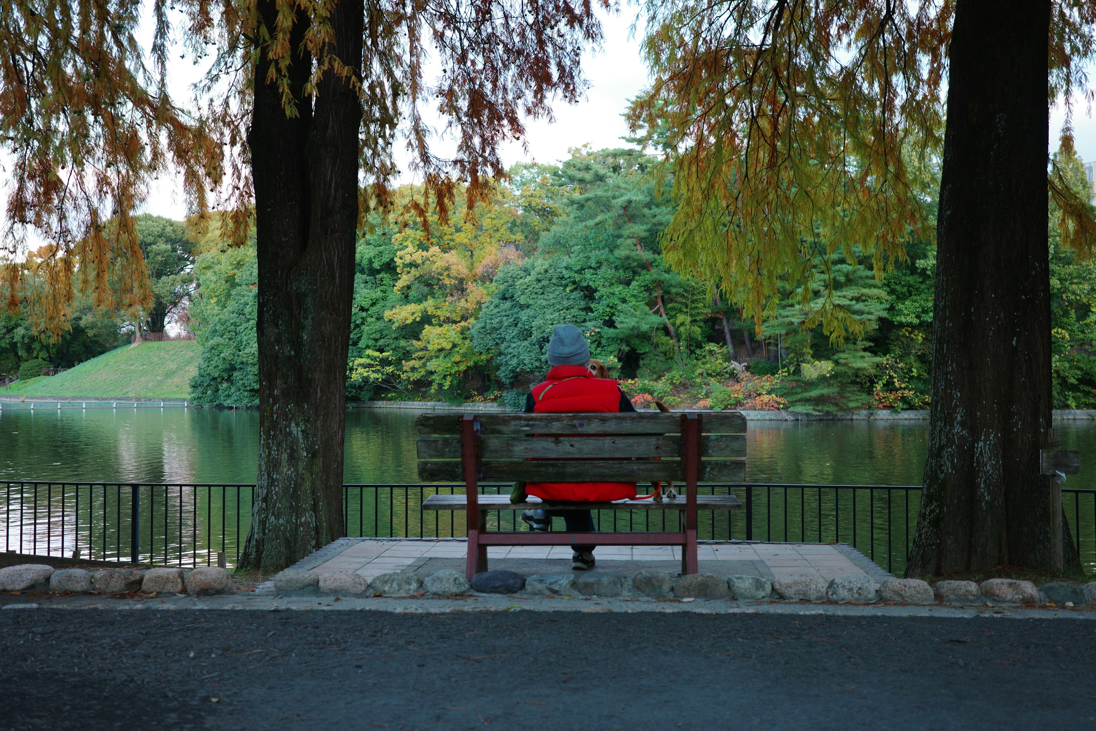 Personne en manteau rouge assise sur un banc au bord d'un lac entouré de verdure luxuriante