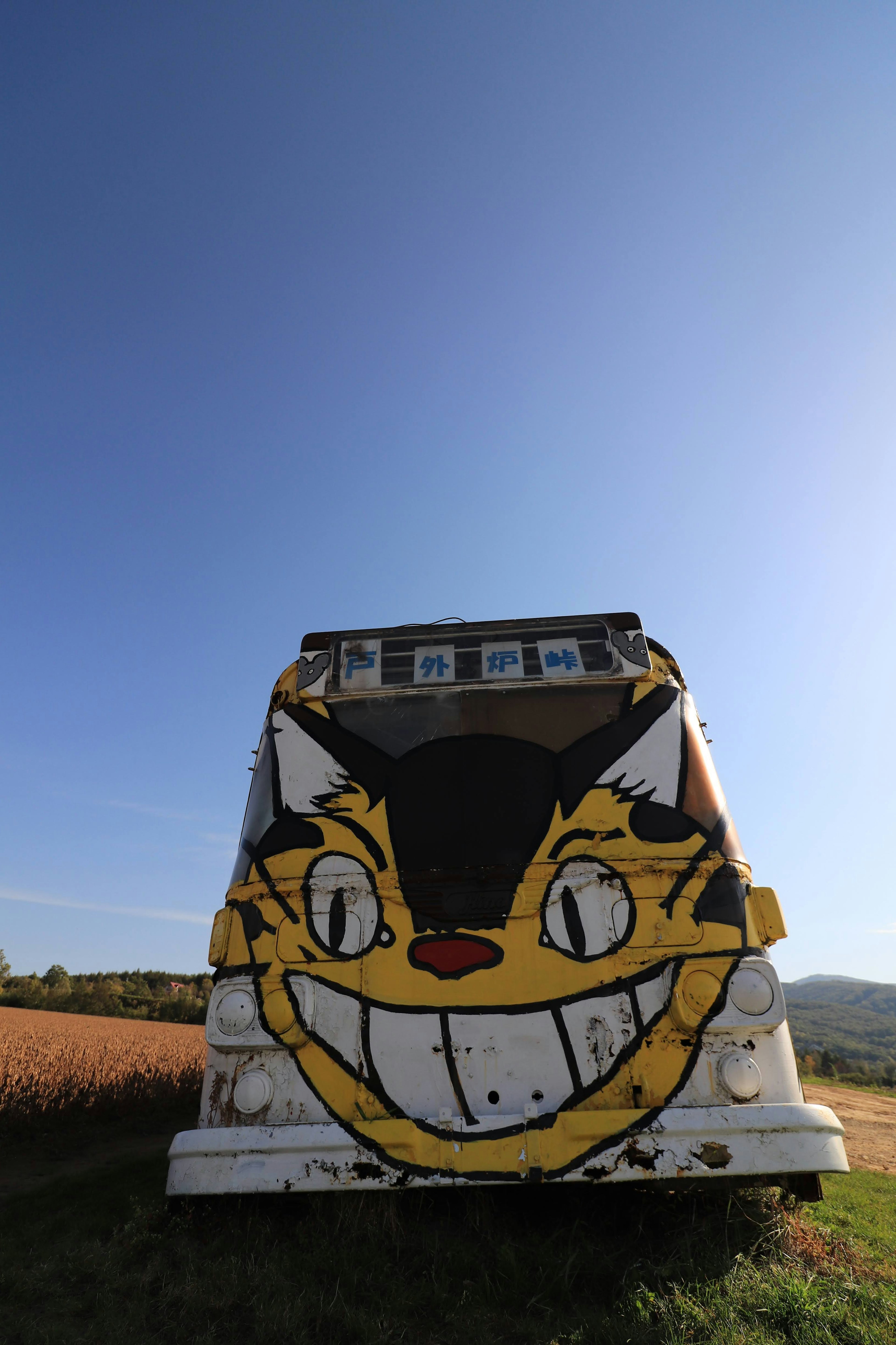 A bus with a graffiti of a cat's face under a clear blue sky