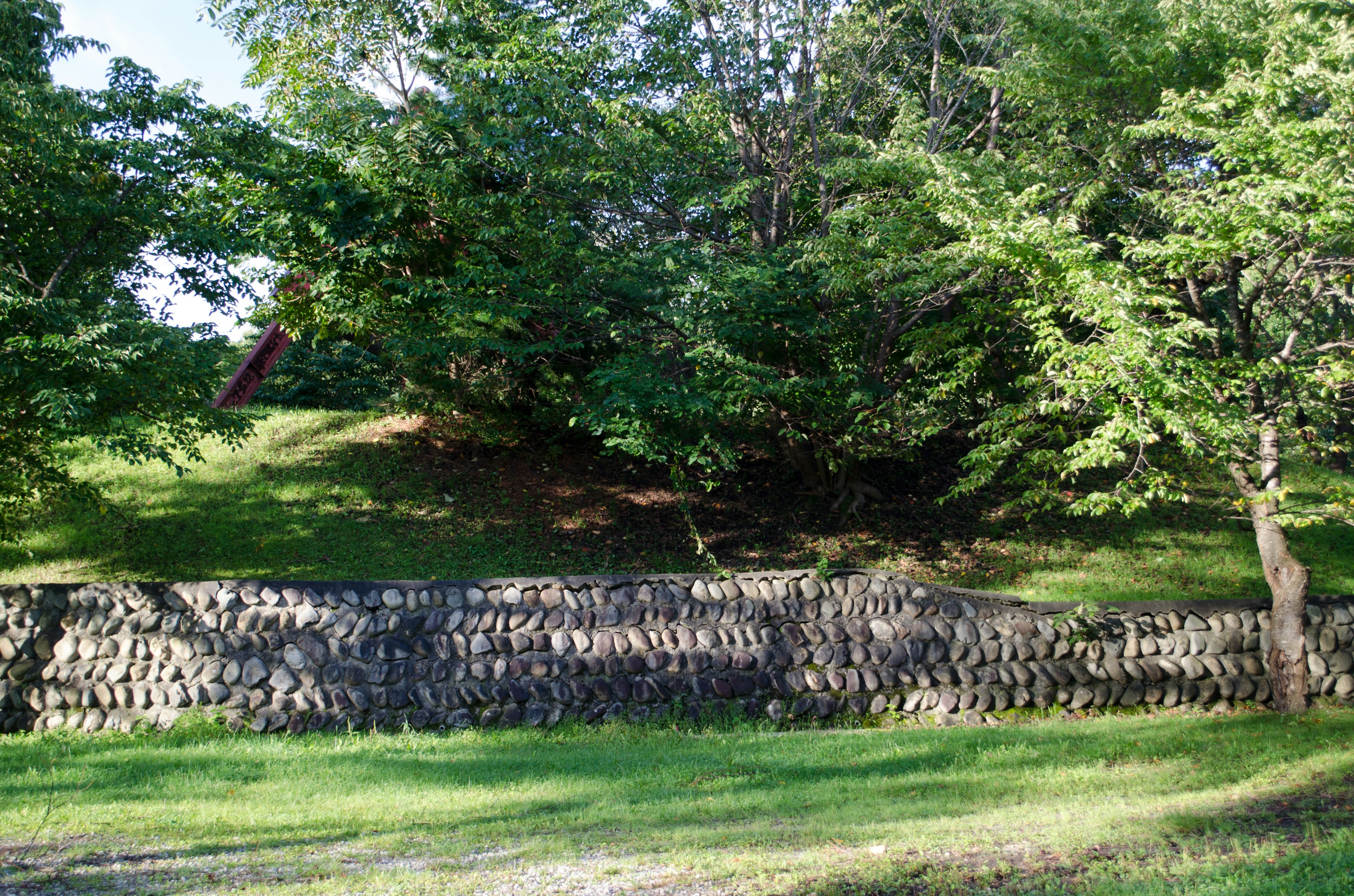 Un paysage avec un mur de pneus et des arbres verts luxuriants en arrière-plan