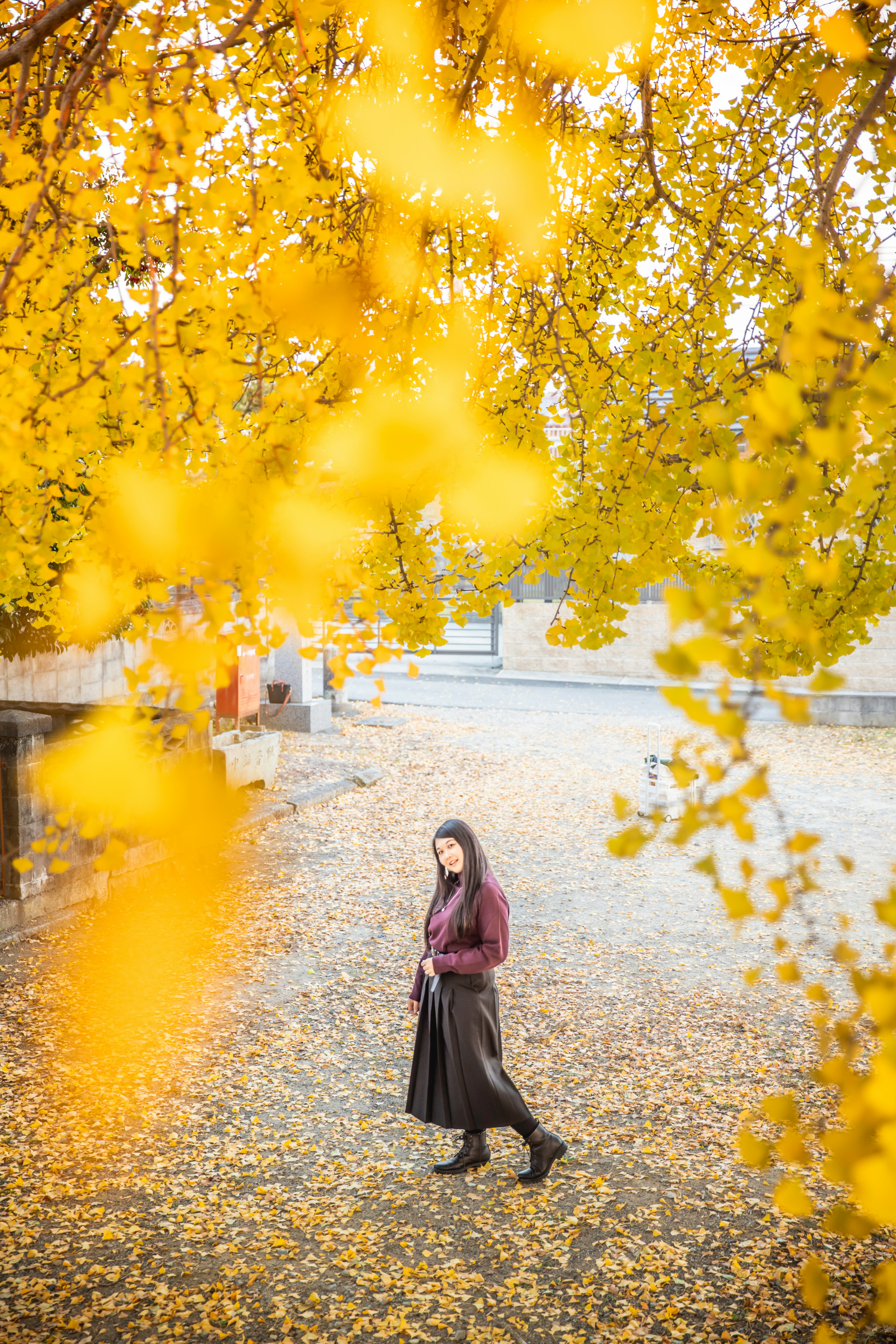 秋の葉の下を歩く女性の姿 鮮やかな黄色の葉と落ち葉の景色