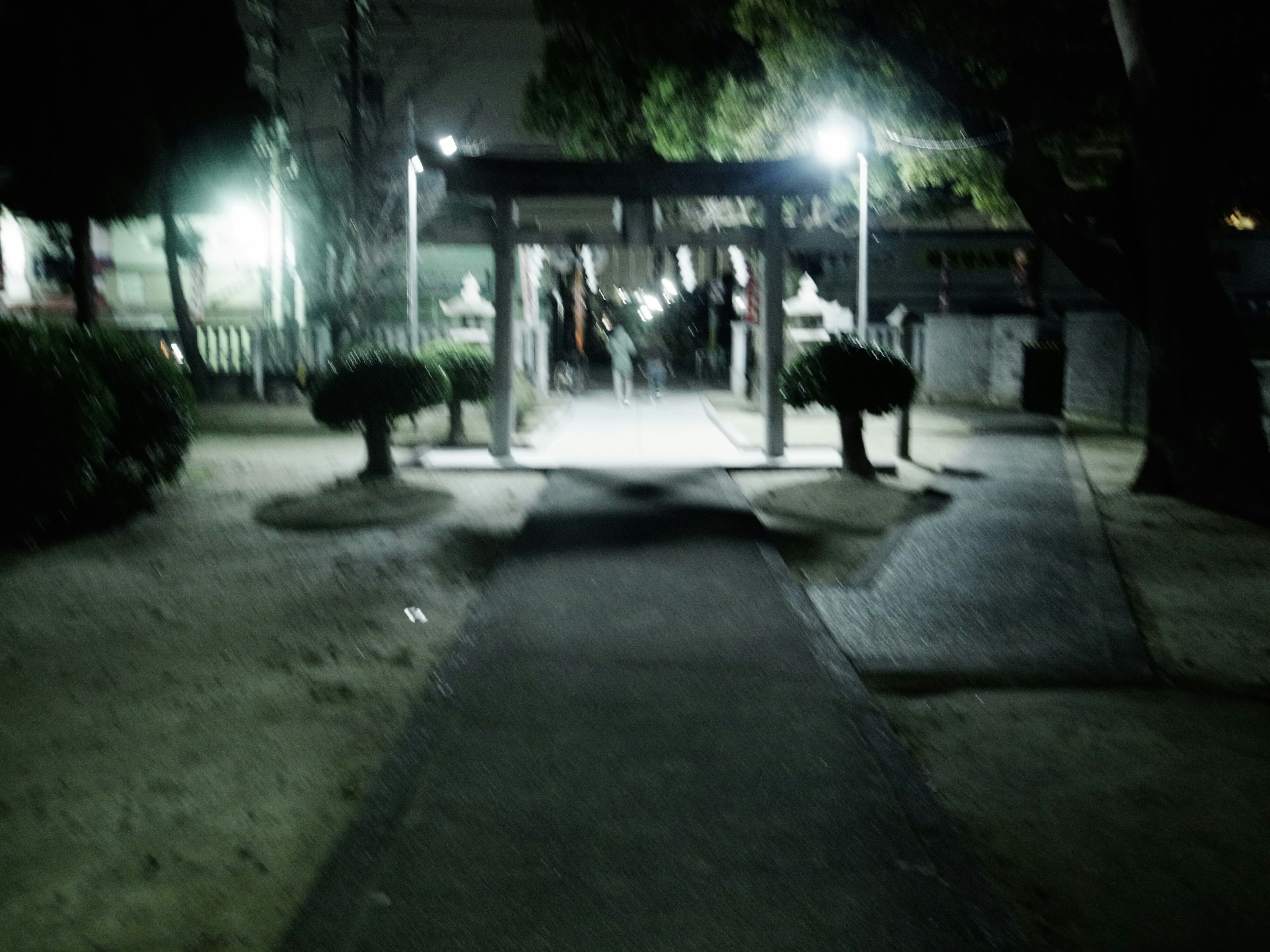 Entrance to a park featuring a torii gate and streetlights at night