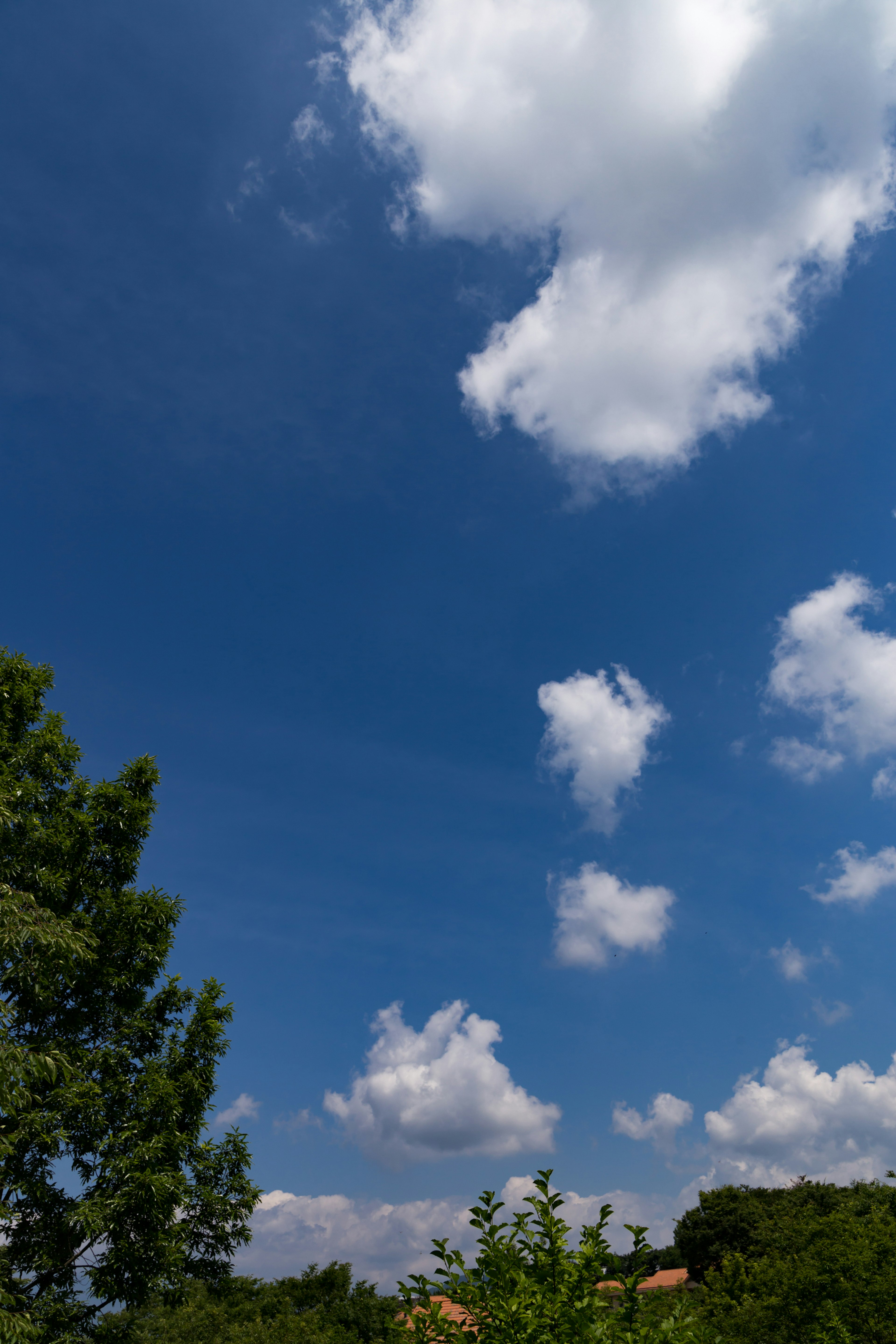 Un cielo blu brillante con nuvole bianche soffici