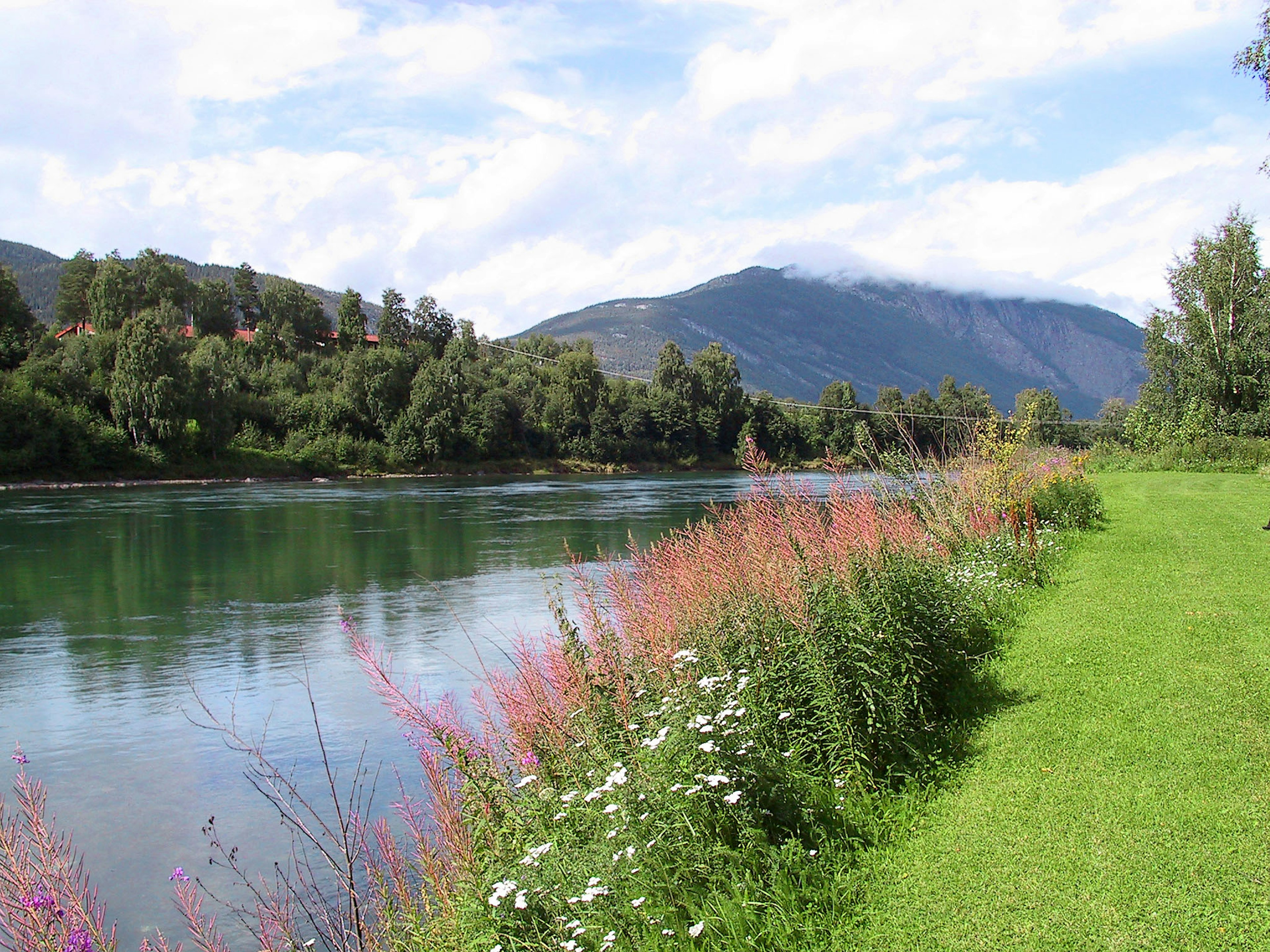 Scenic riverside view with colorful flowers along the grassy bank and calm water in the foreground with mountains in the background