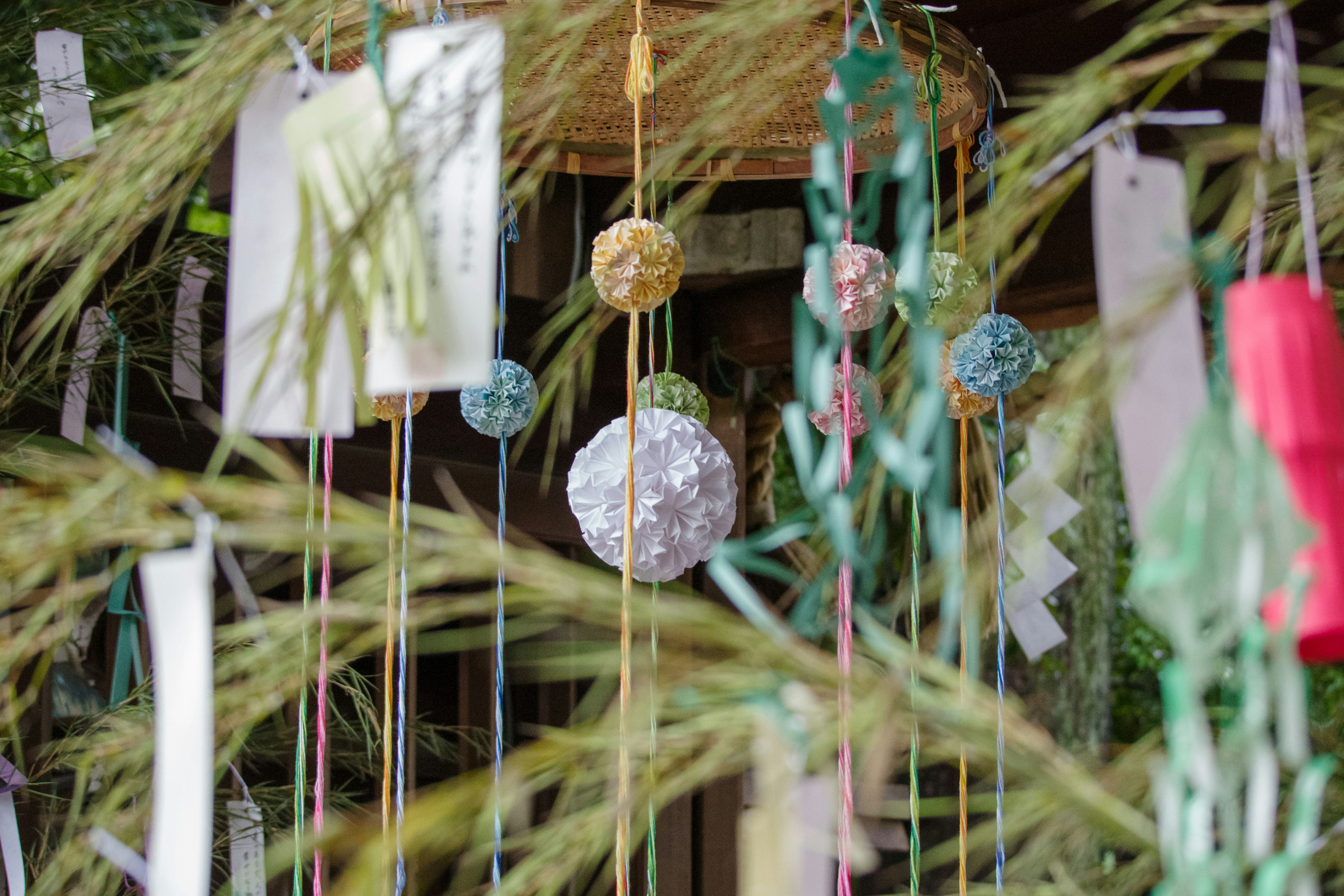 Décorations colorées et tanzaku suspendus dans un cadre serein