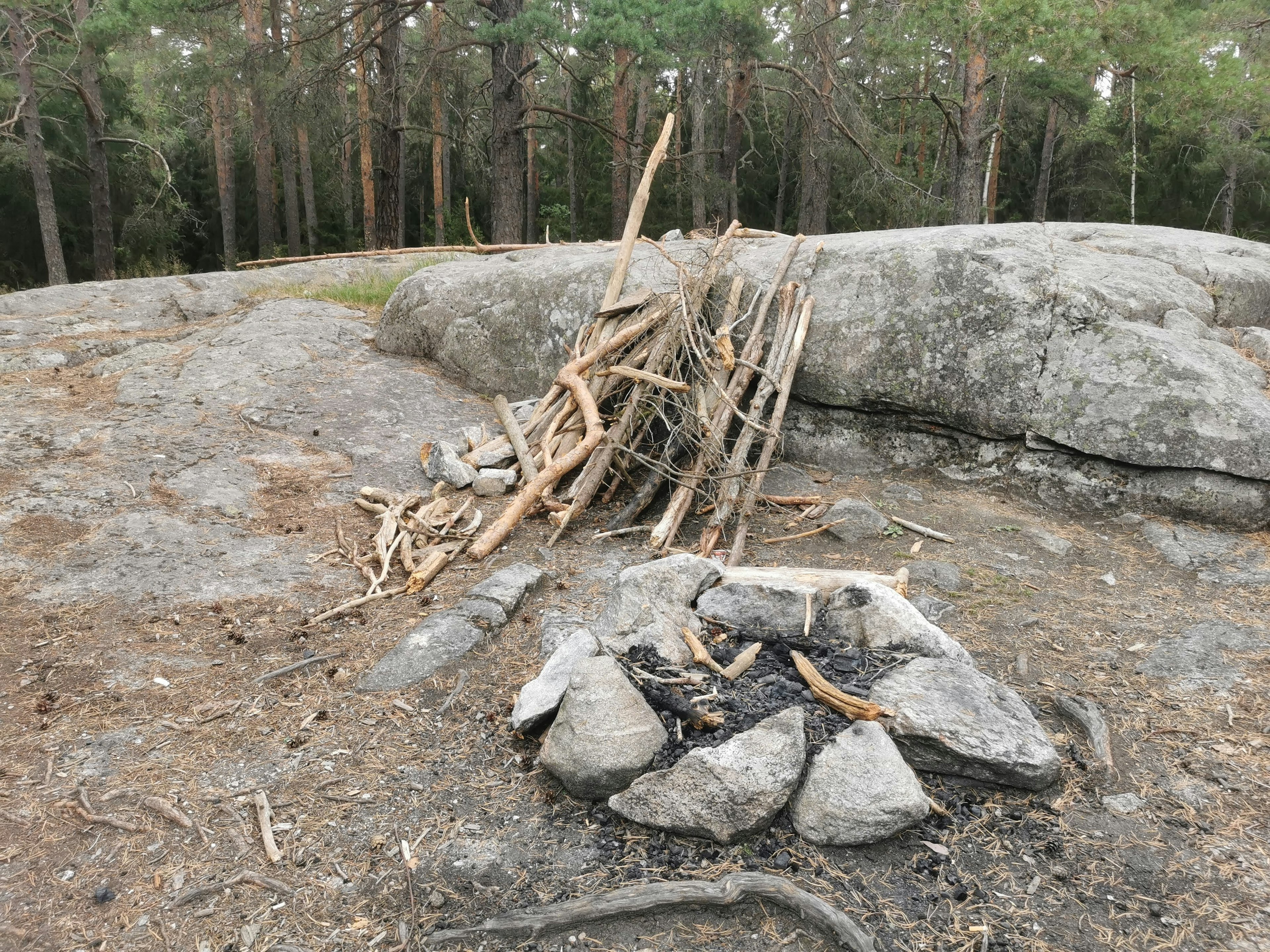 A forest scene with a pile of firewood and a stone fire pit near a large rock