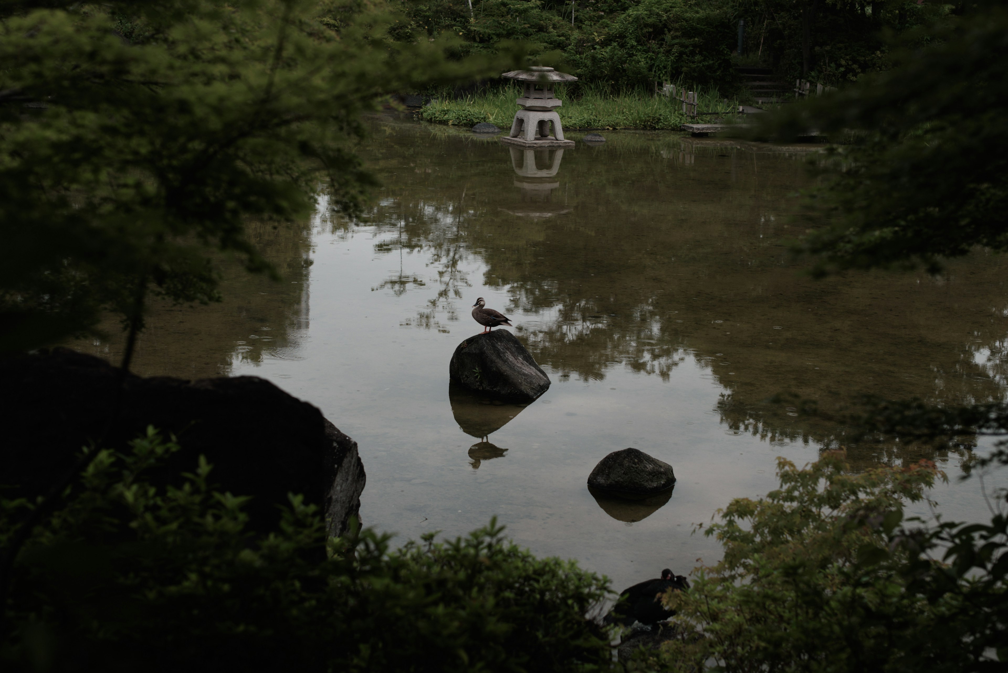 Pemandangan tenang dengan batu dan pohon di sekitar kolam yang memiliki lentera batu