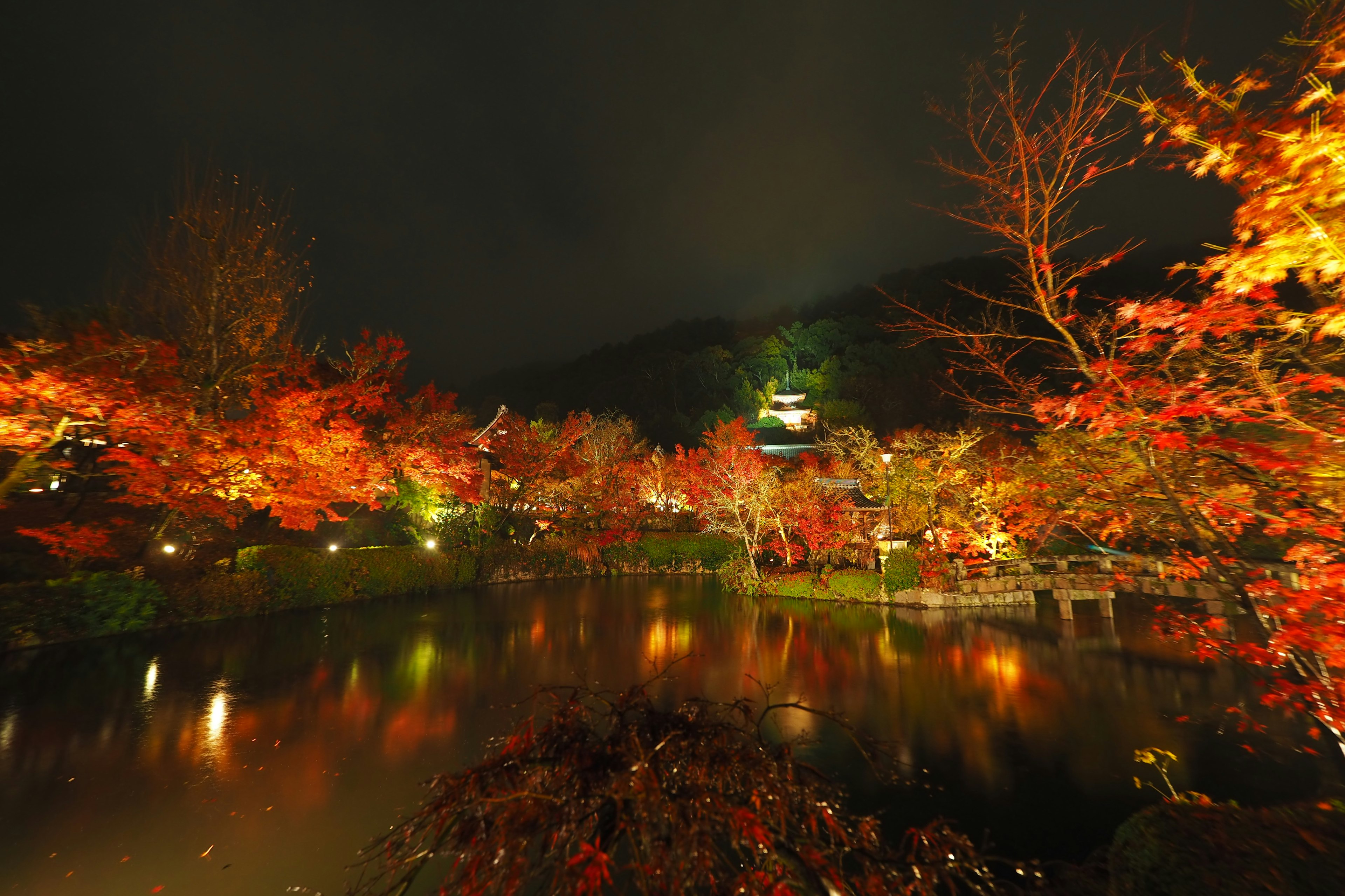 夜の紅葉が美しい池の風景ライトアップされた木々