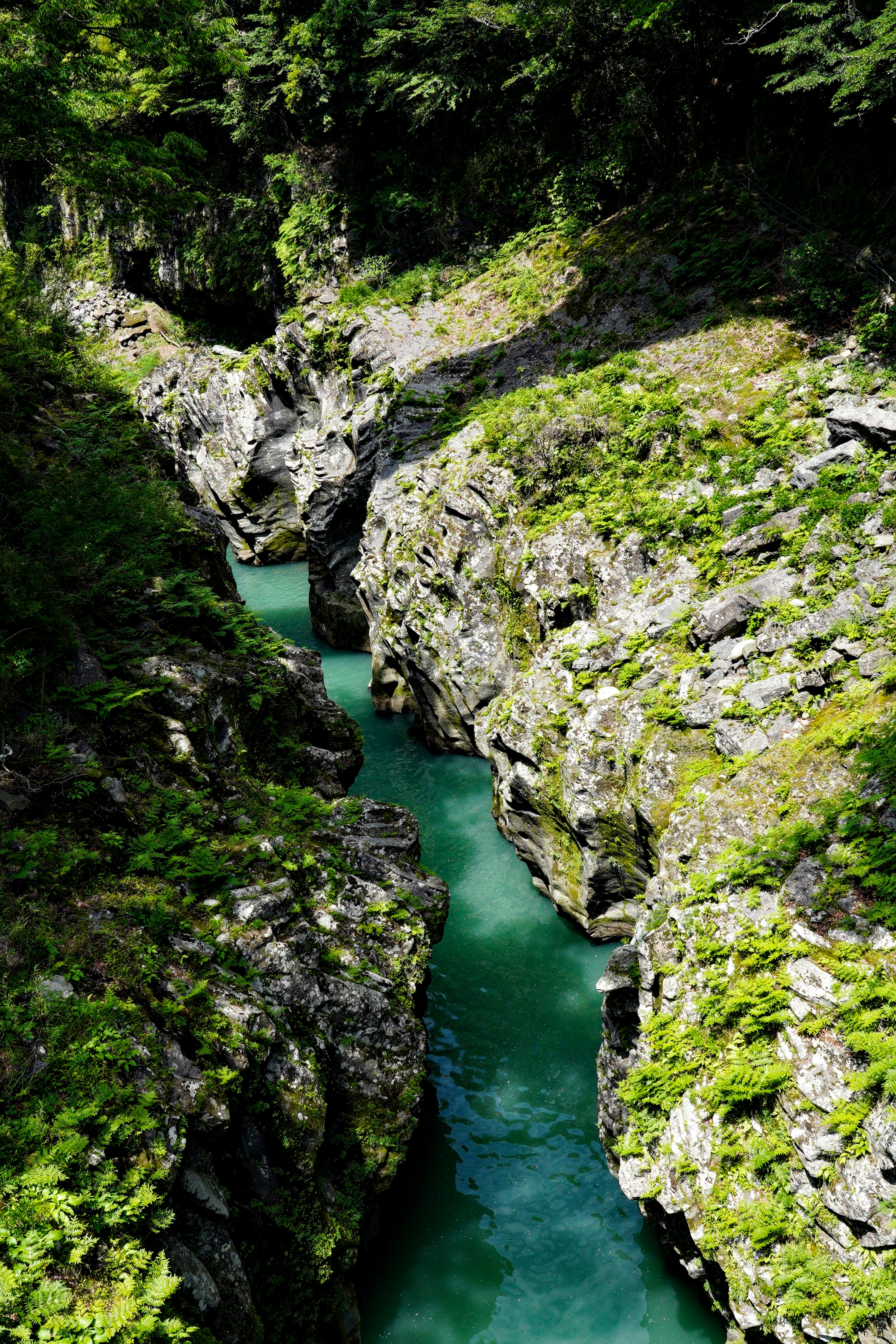 Une rivière bleue coulant dans un canyon entouré de roches vertes