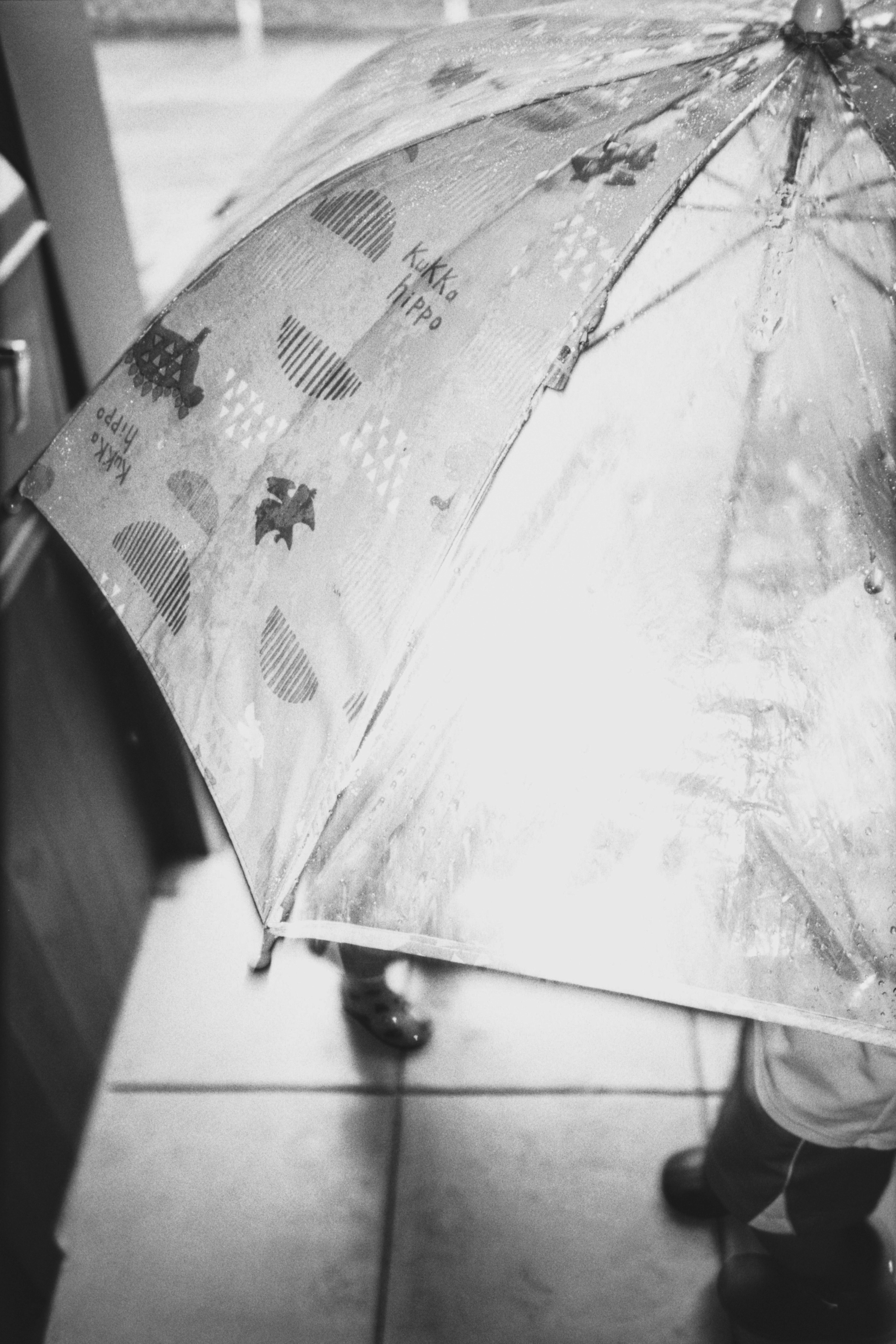 photo-D3VQD8xLNF8NMXKn7i7B-image