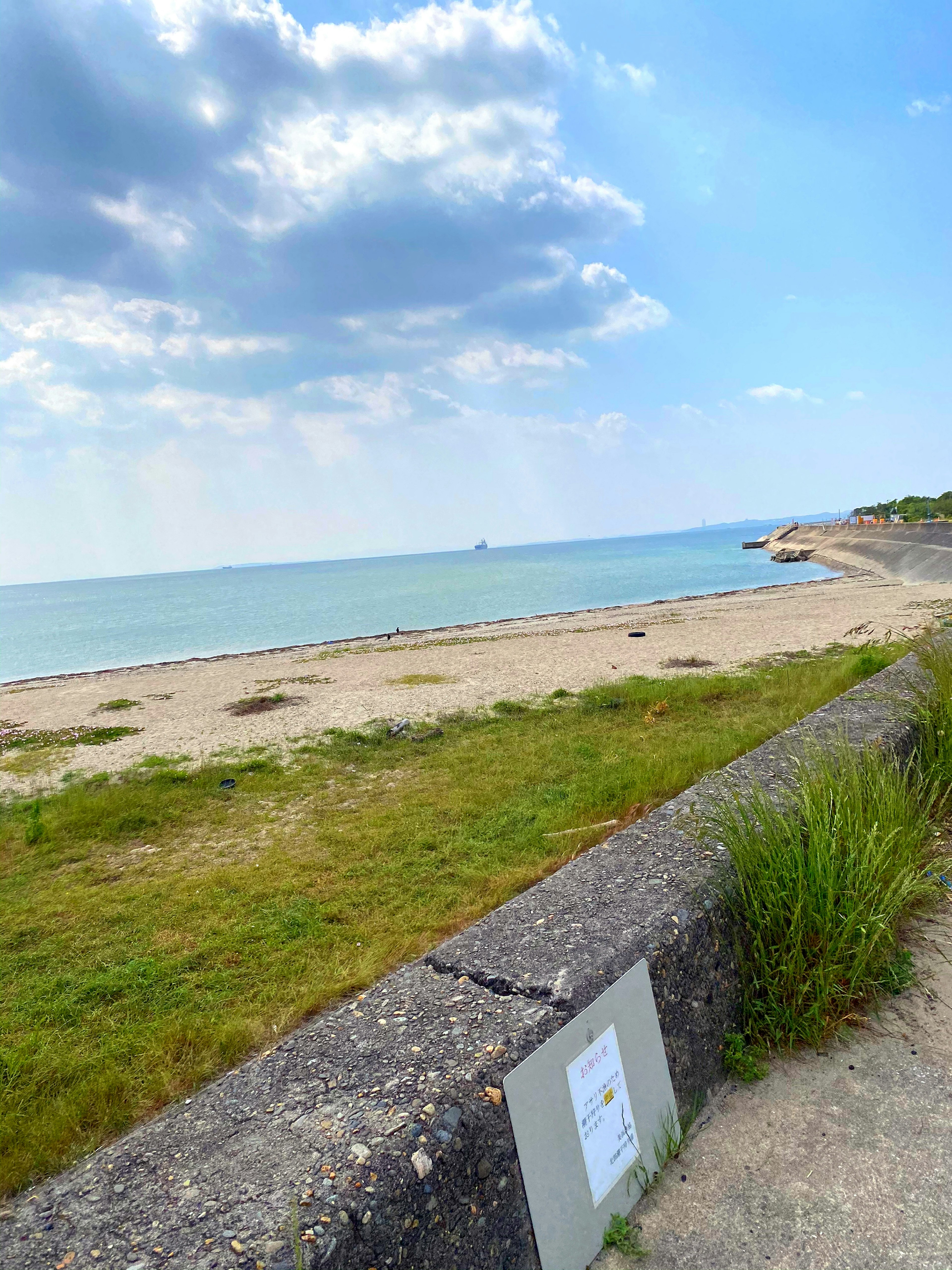 Seaside view featuring blue sky and calm water with sandy beach