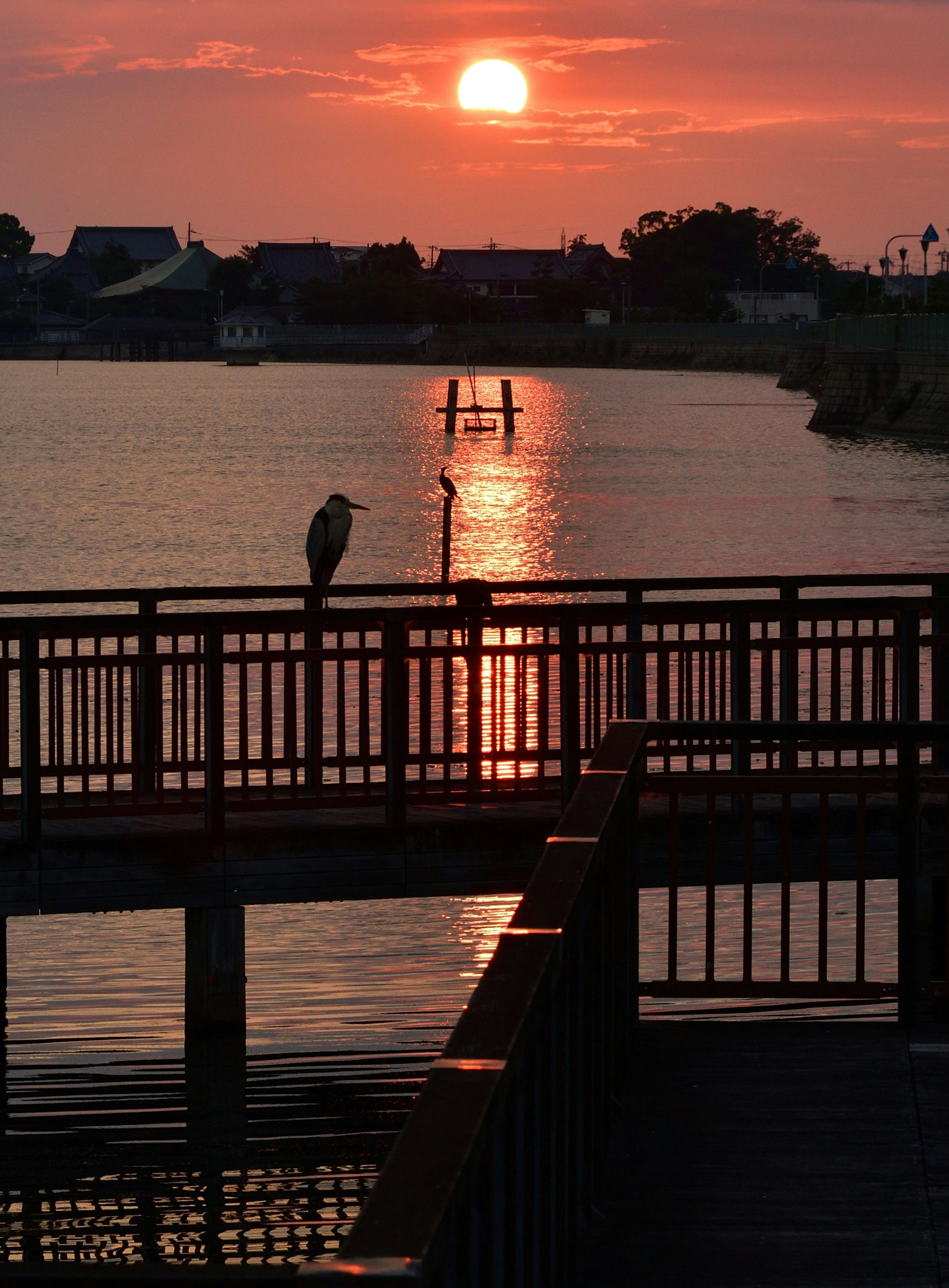 一只鸟站在栏杆上，夕阳在水面上倒影