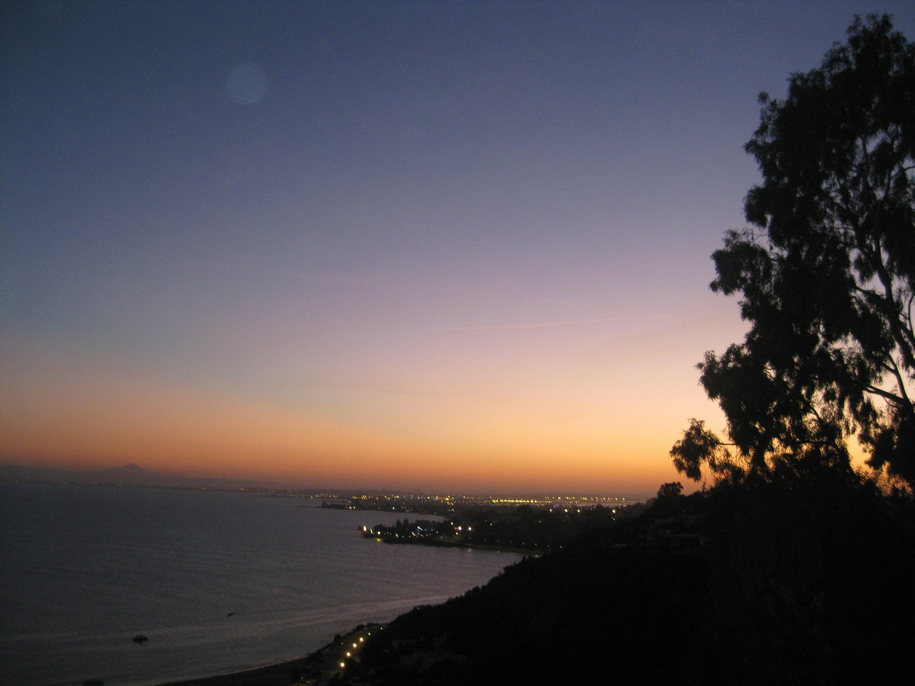 Scenic view of a coastline at sunset with silhouetted trees