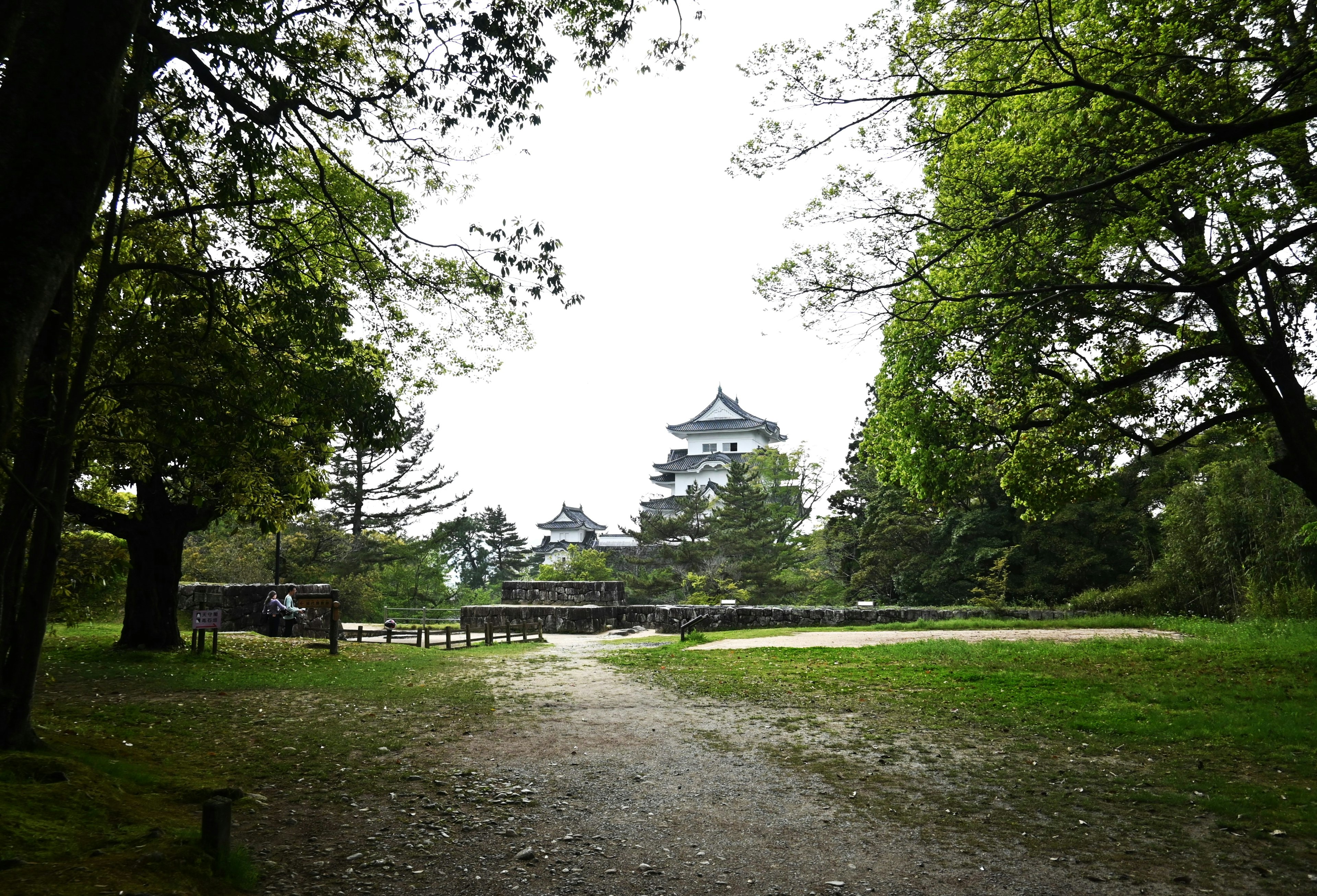 Pathway leading to a castle tower surrounded by greenery and trees