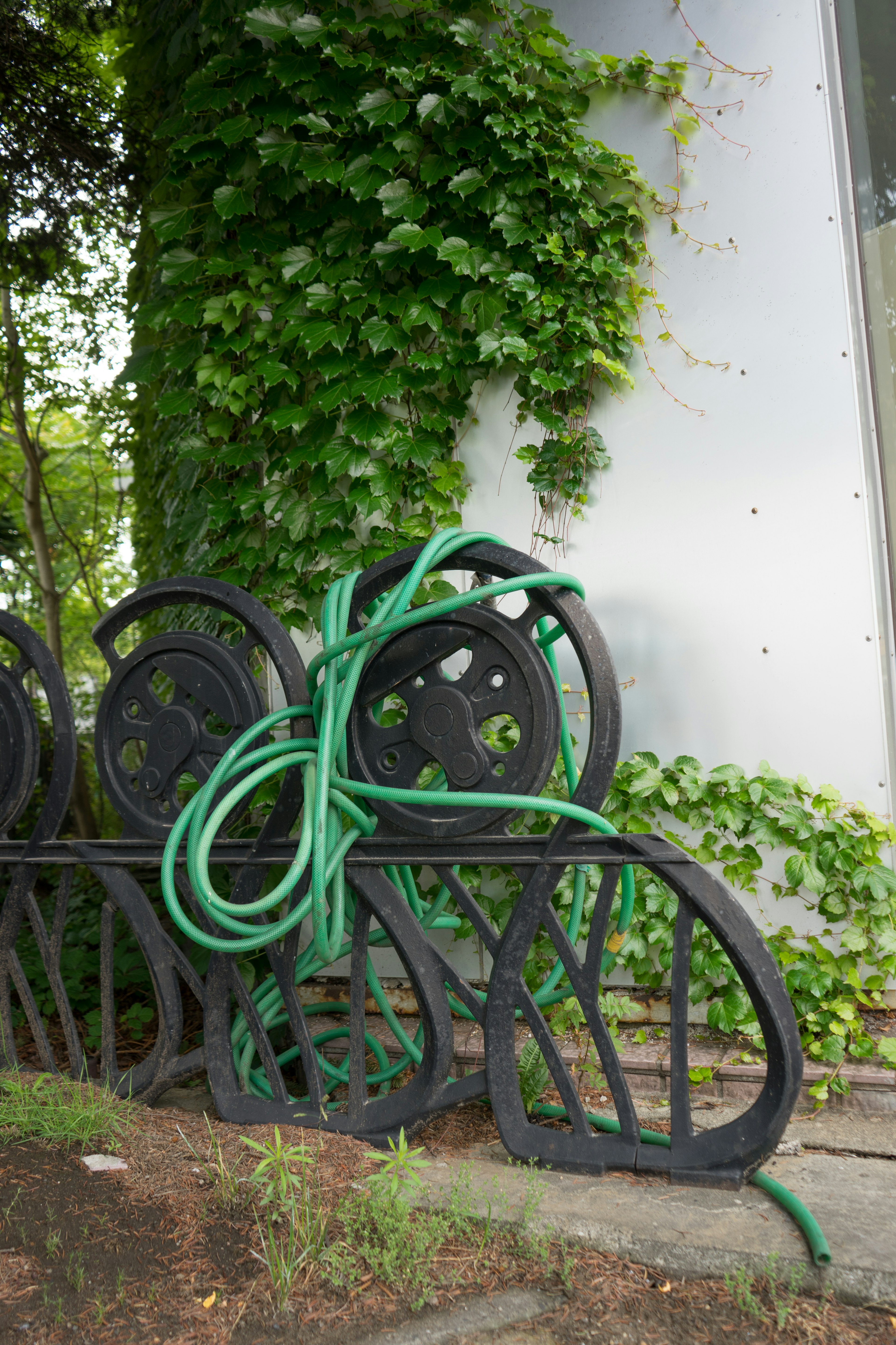 Imagen de una manguera de jardín verde enrollada en carretes negros con un fondo de vegetación