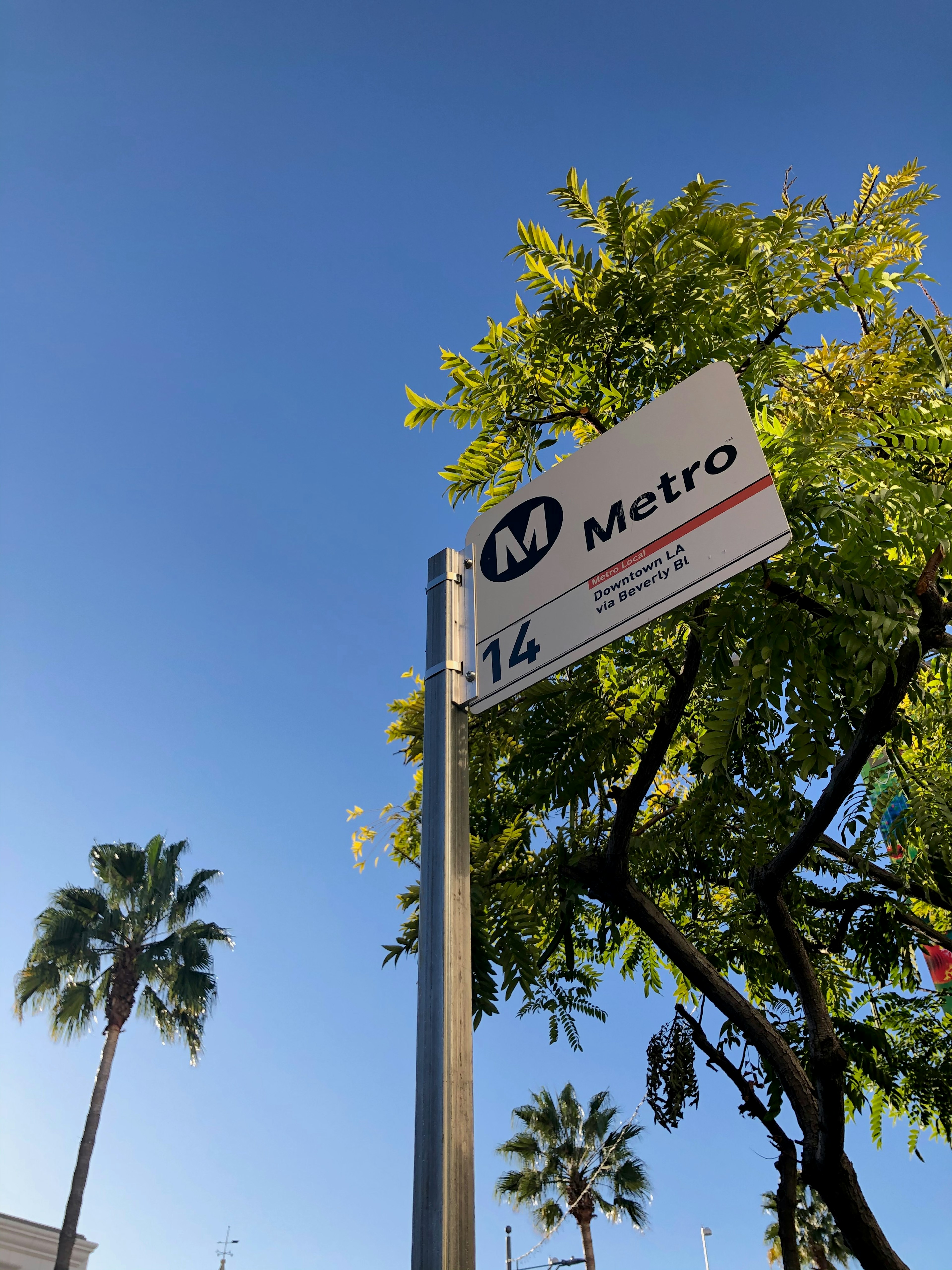 Metro sign under a clear blue sky with green trees