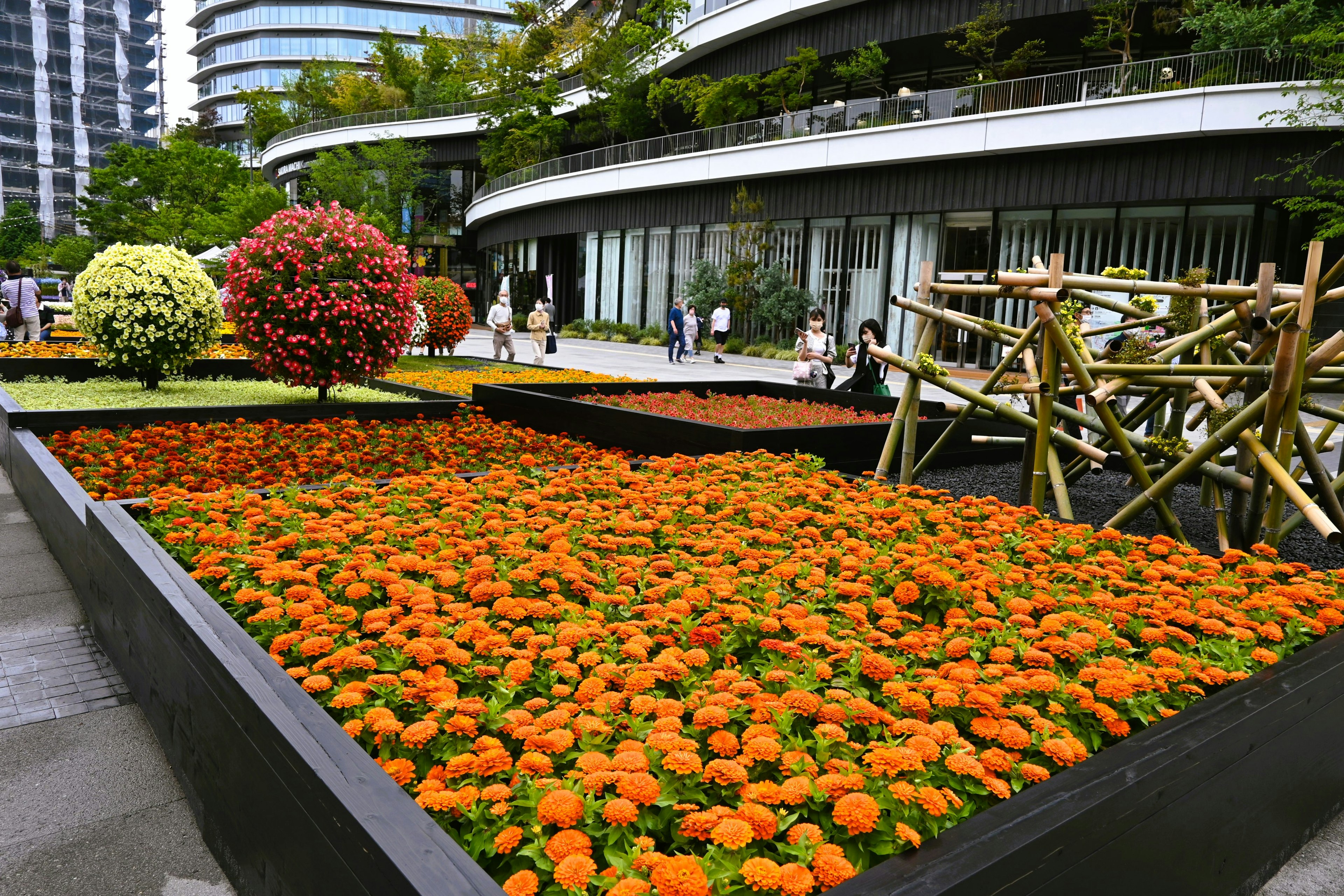 Pemandangan taman yang cerah dengan bunga berwarna-warni menampilkan marigold oranye dan tanaman hijau subur