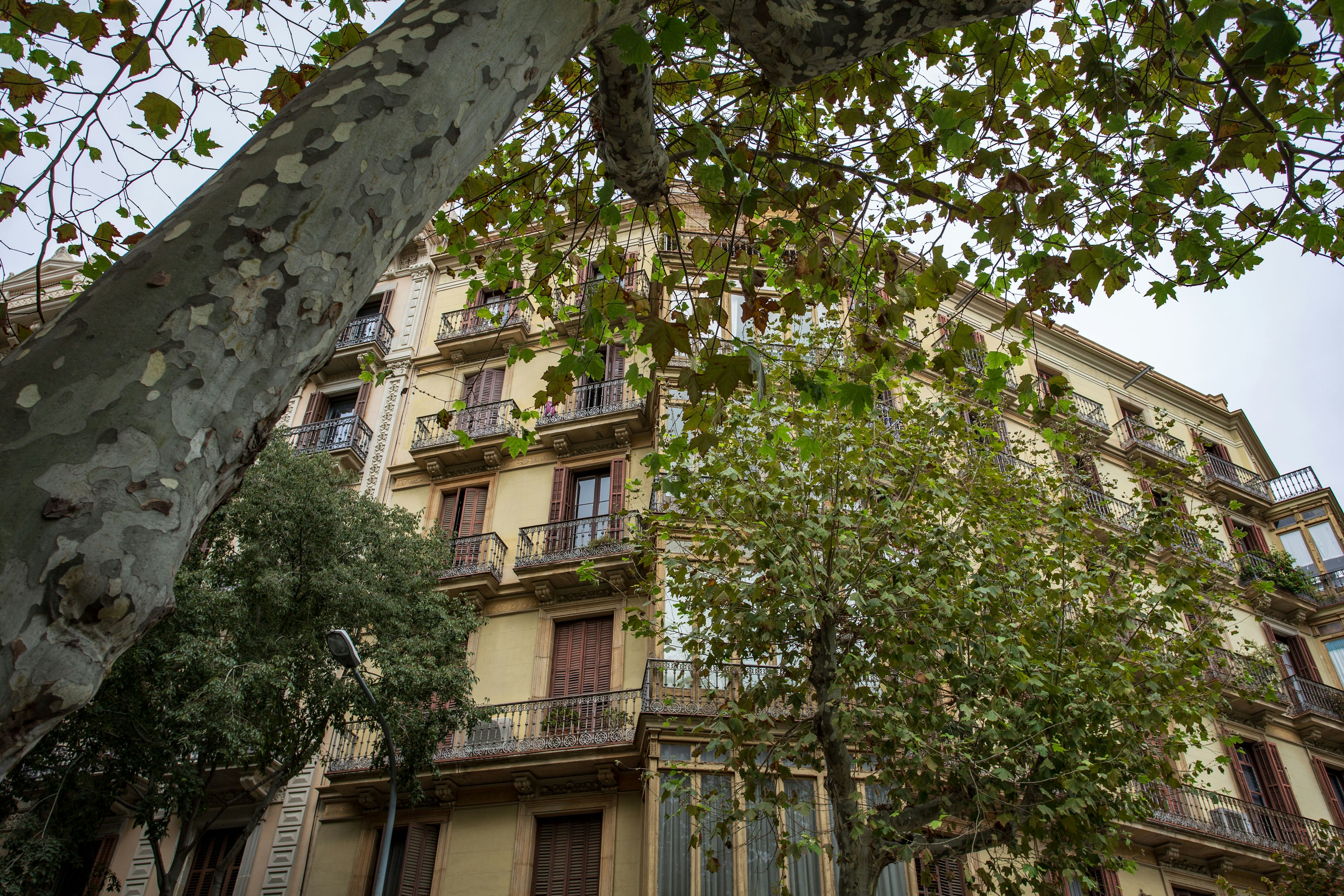 Vista de un edificio antiguo en Barcelona con árboles verdes