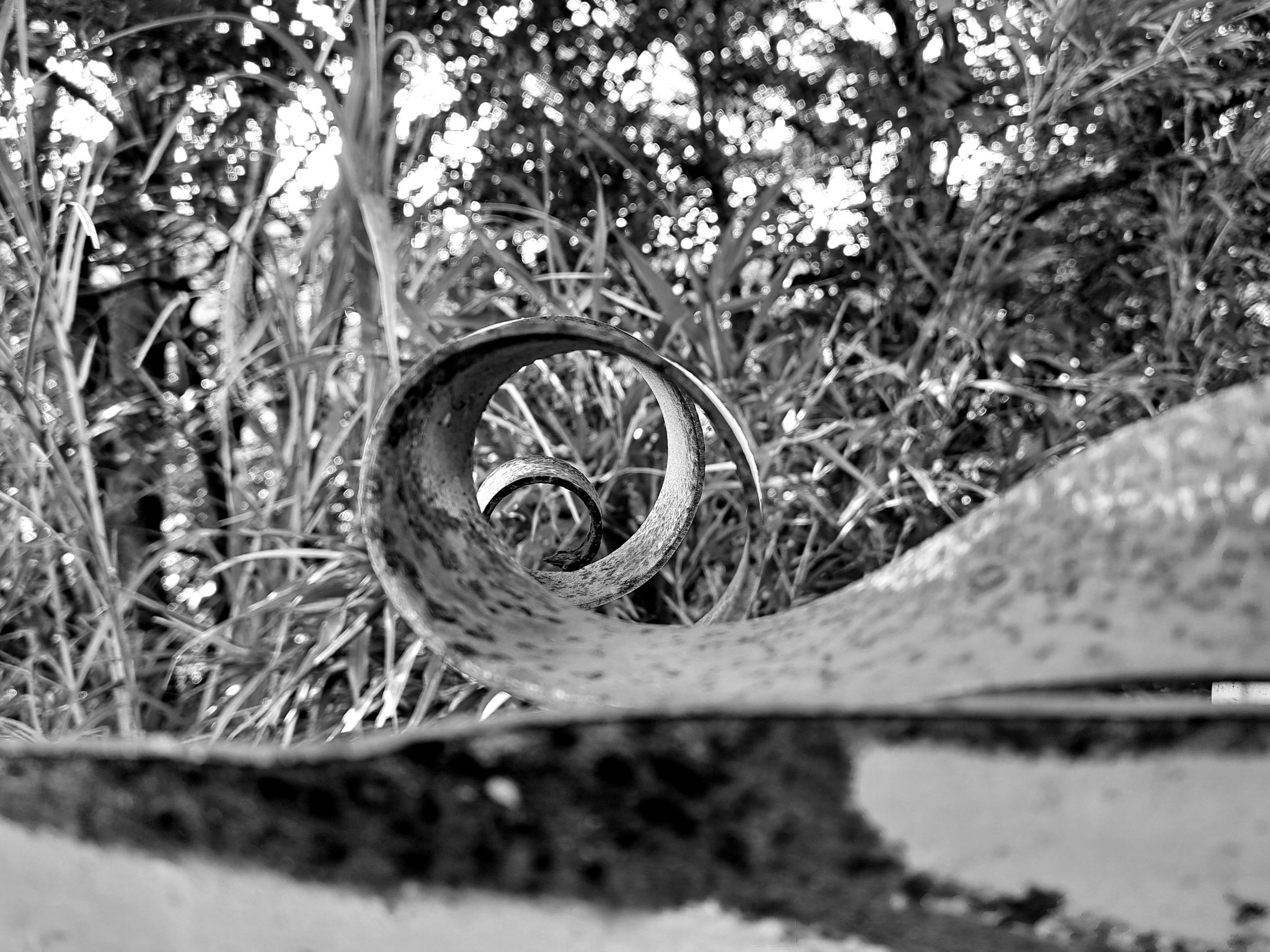 Black and white spiral metal object surrounded by greenery