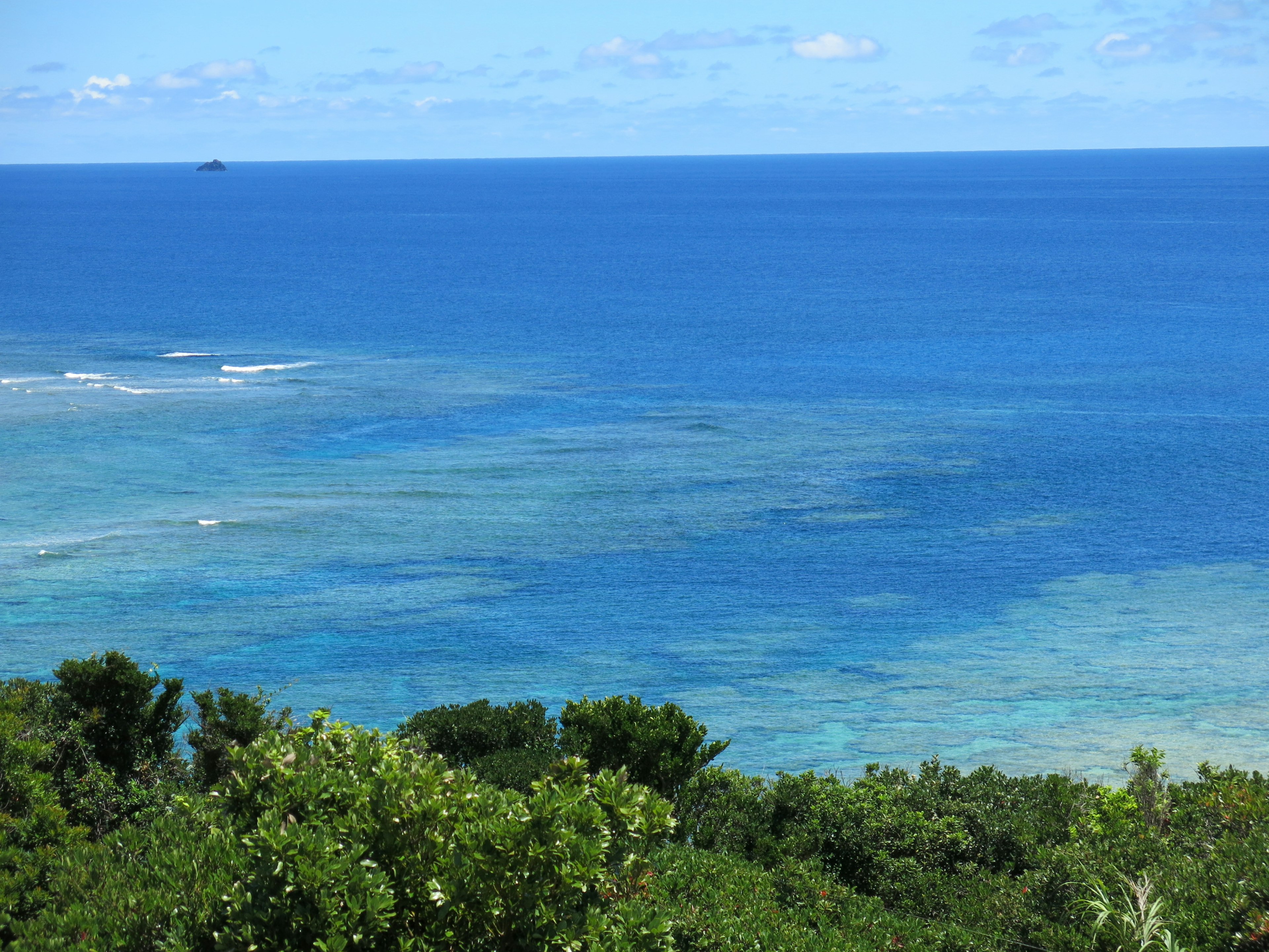 Vibrant blue ocean with lush green foliage