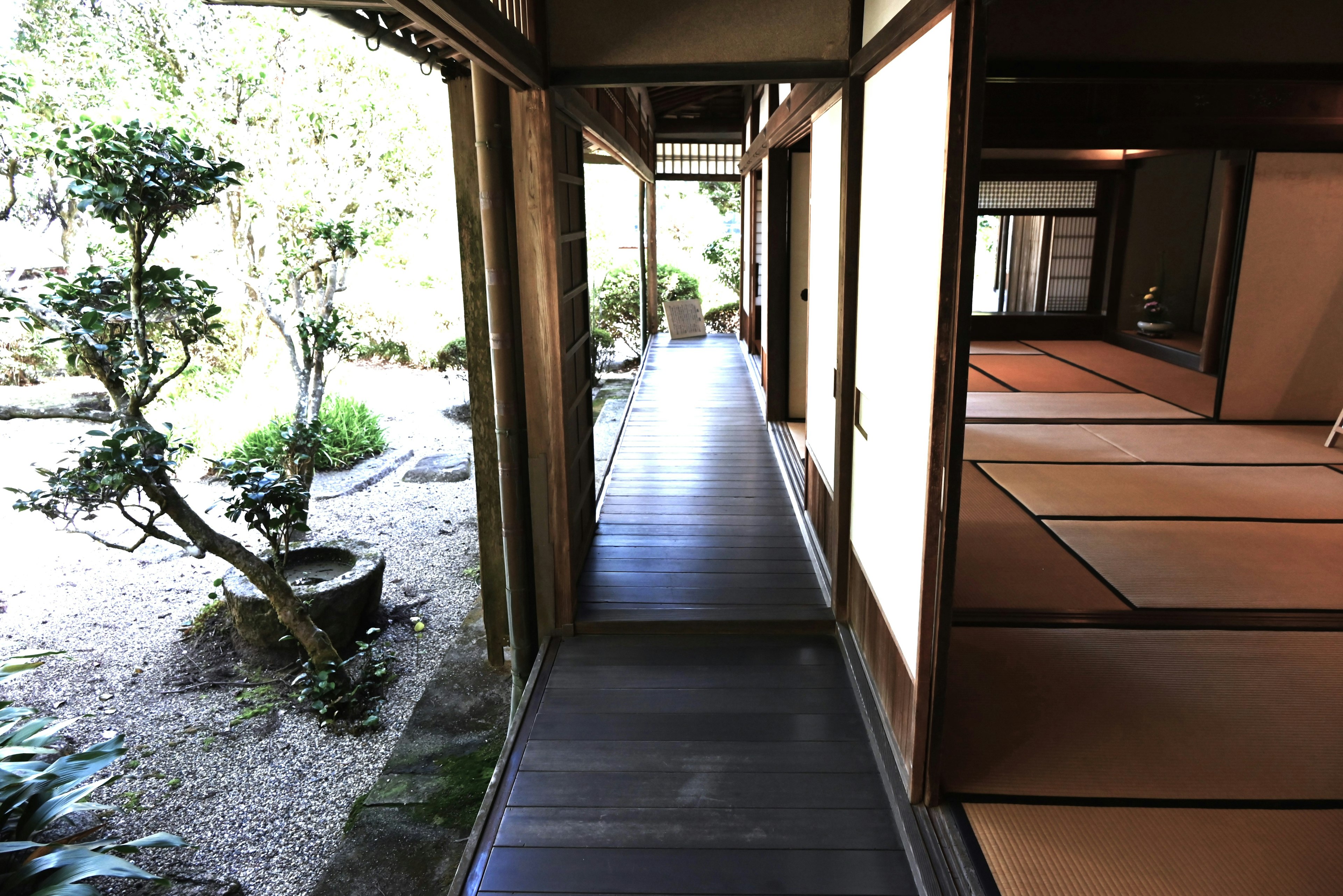 Koridor rumah tradisional Jepang dengan pemandangan taman