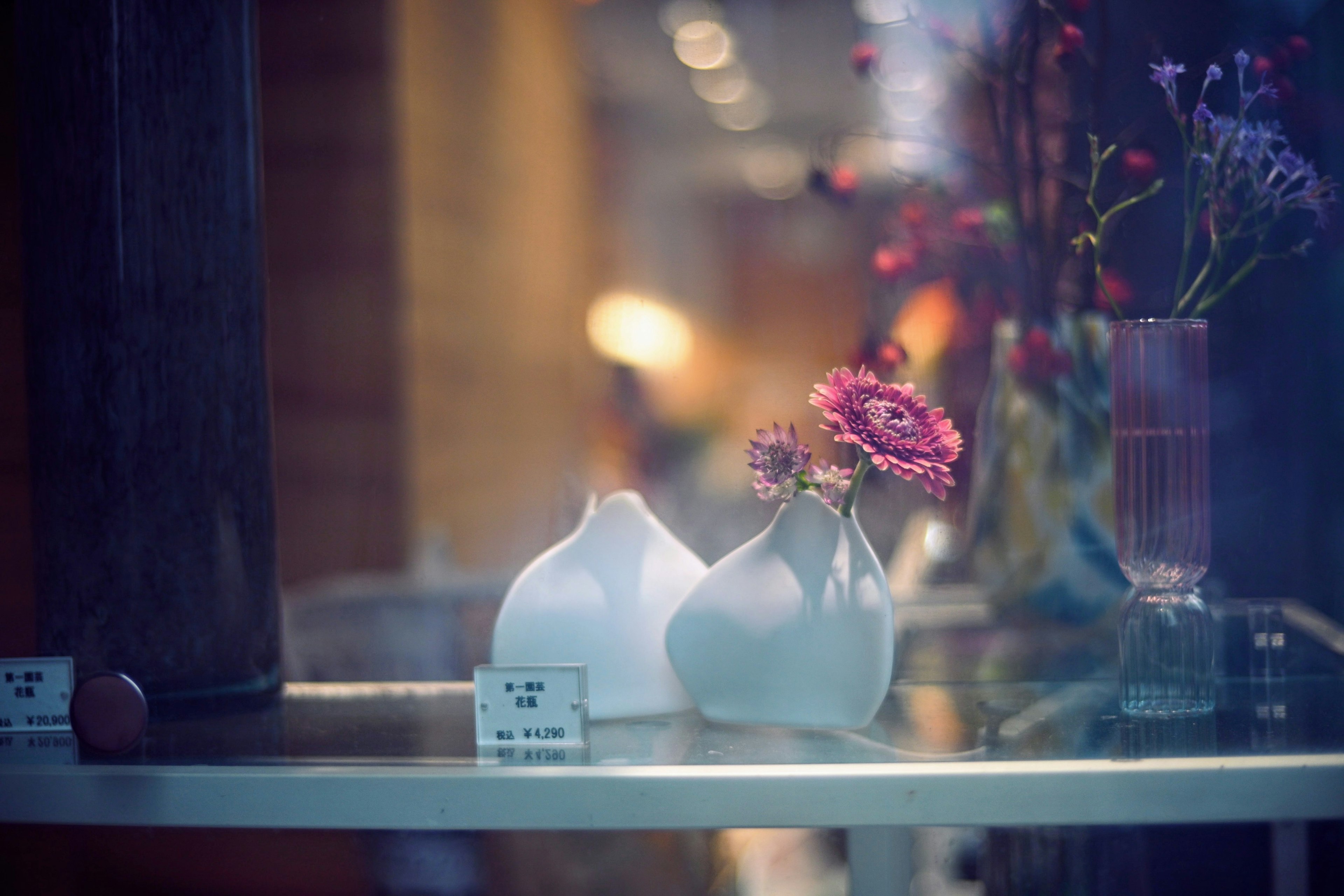 Une vitrine sereine avec des vases blancs et des fleurs colorées