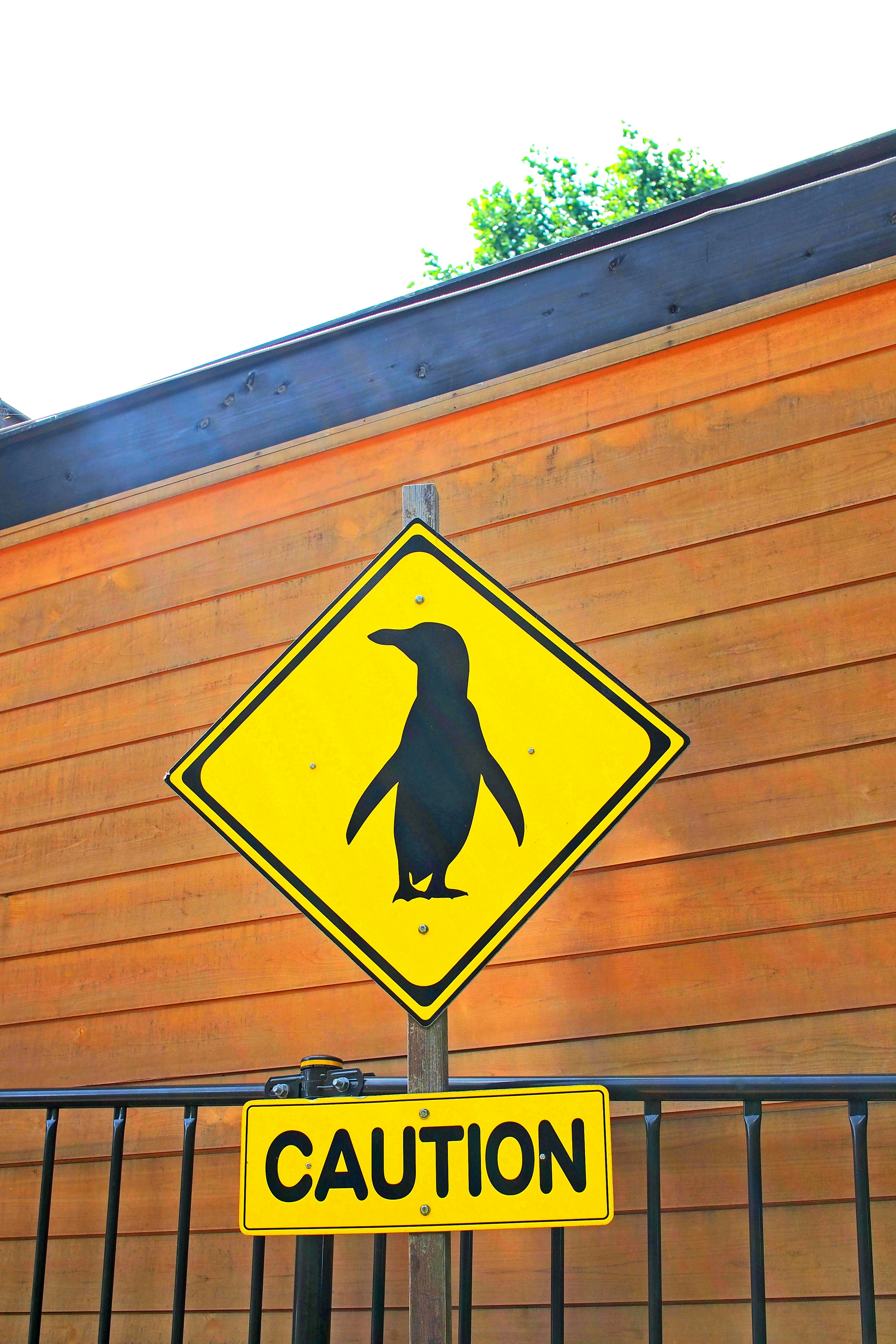 Caution sign featuring a silhouette of a penguin