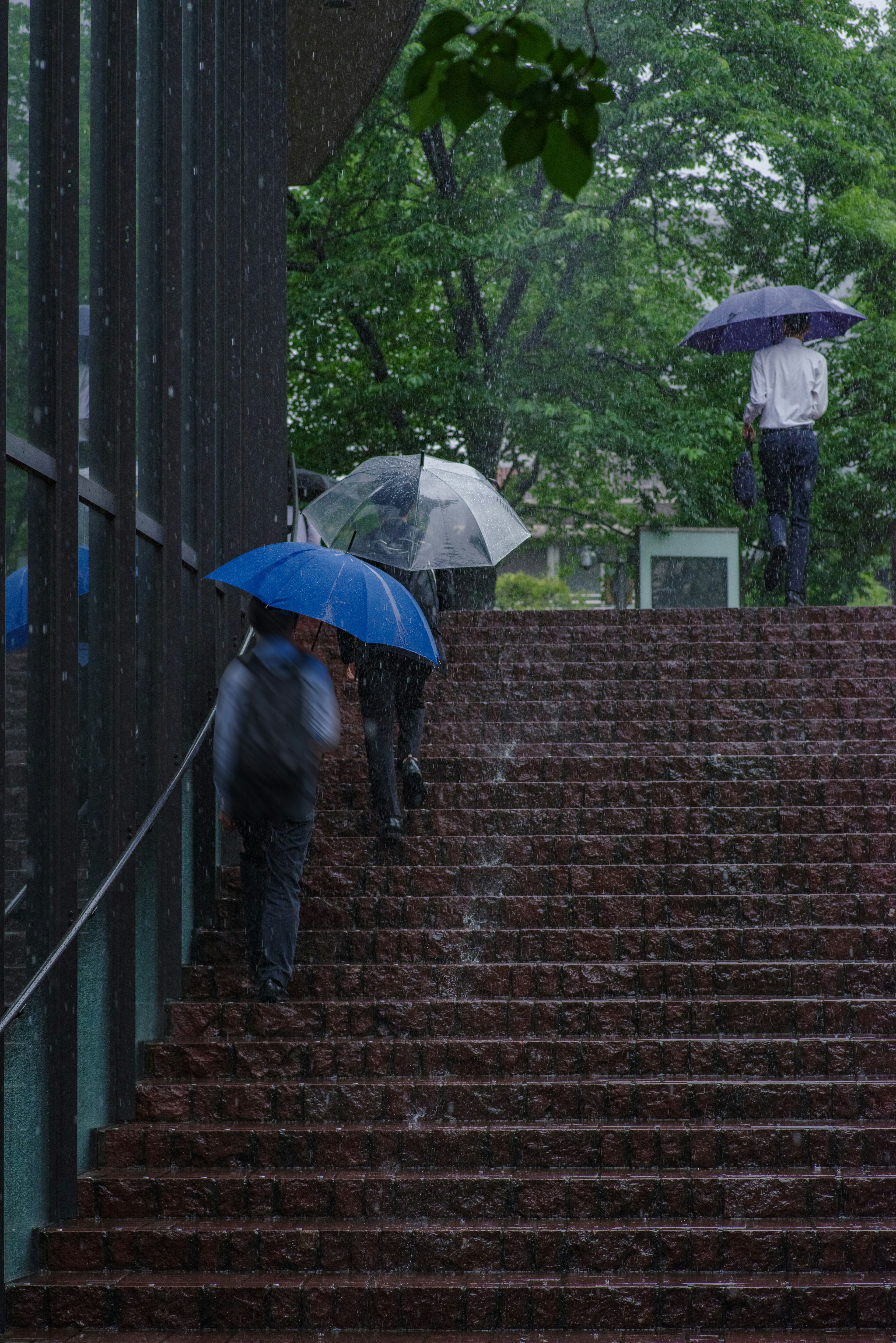 雨の中で傘を持つ人々が階段を上るシーン