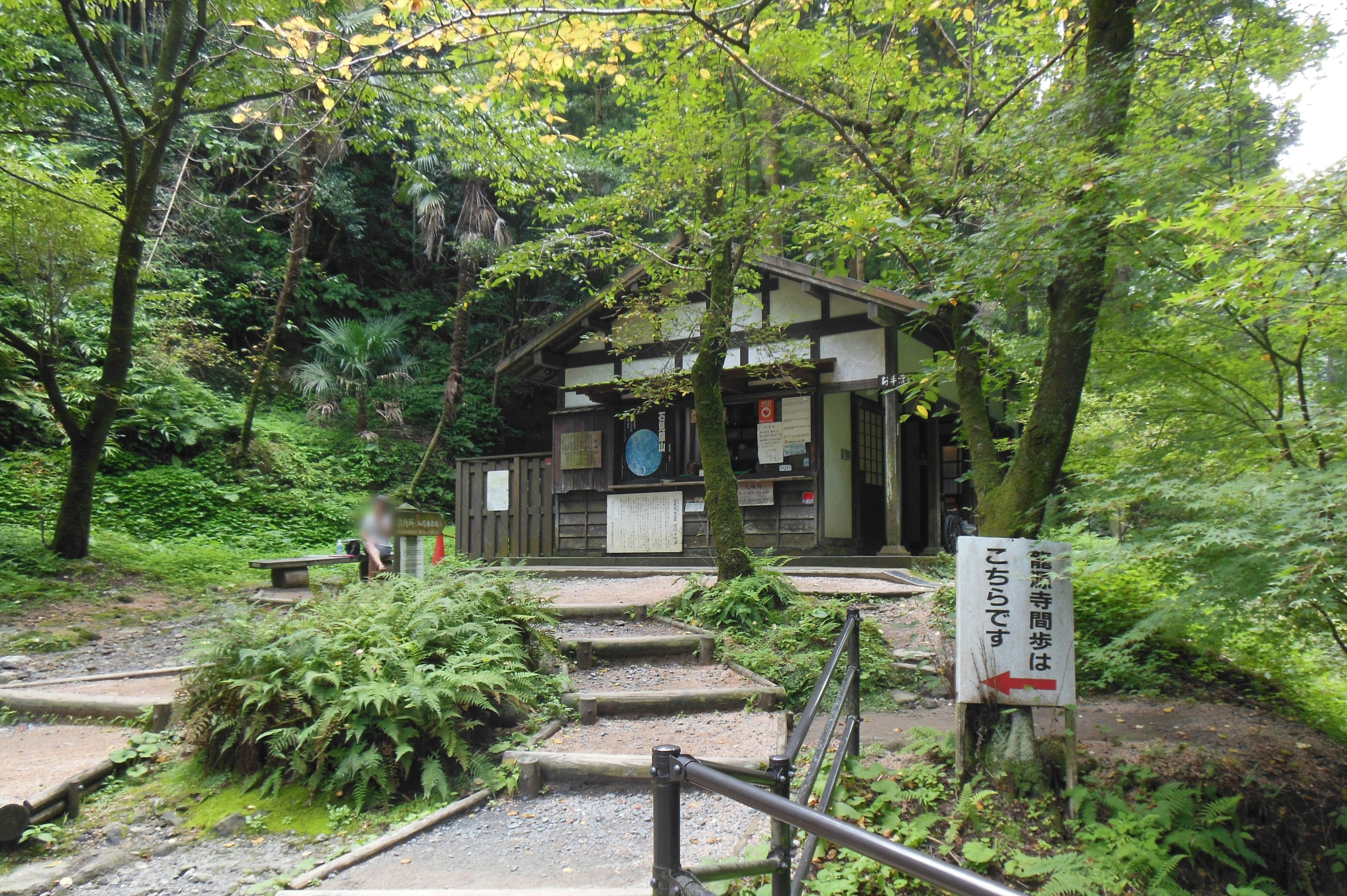 Wooden building surrounded by greenery and stone steps