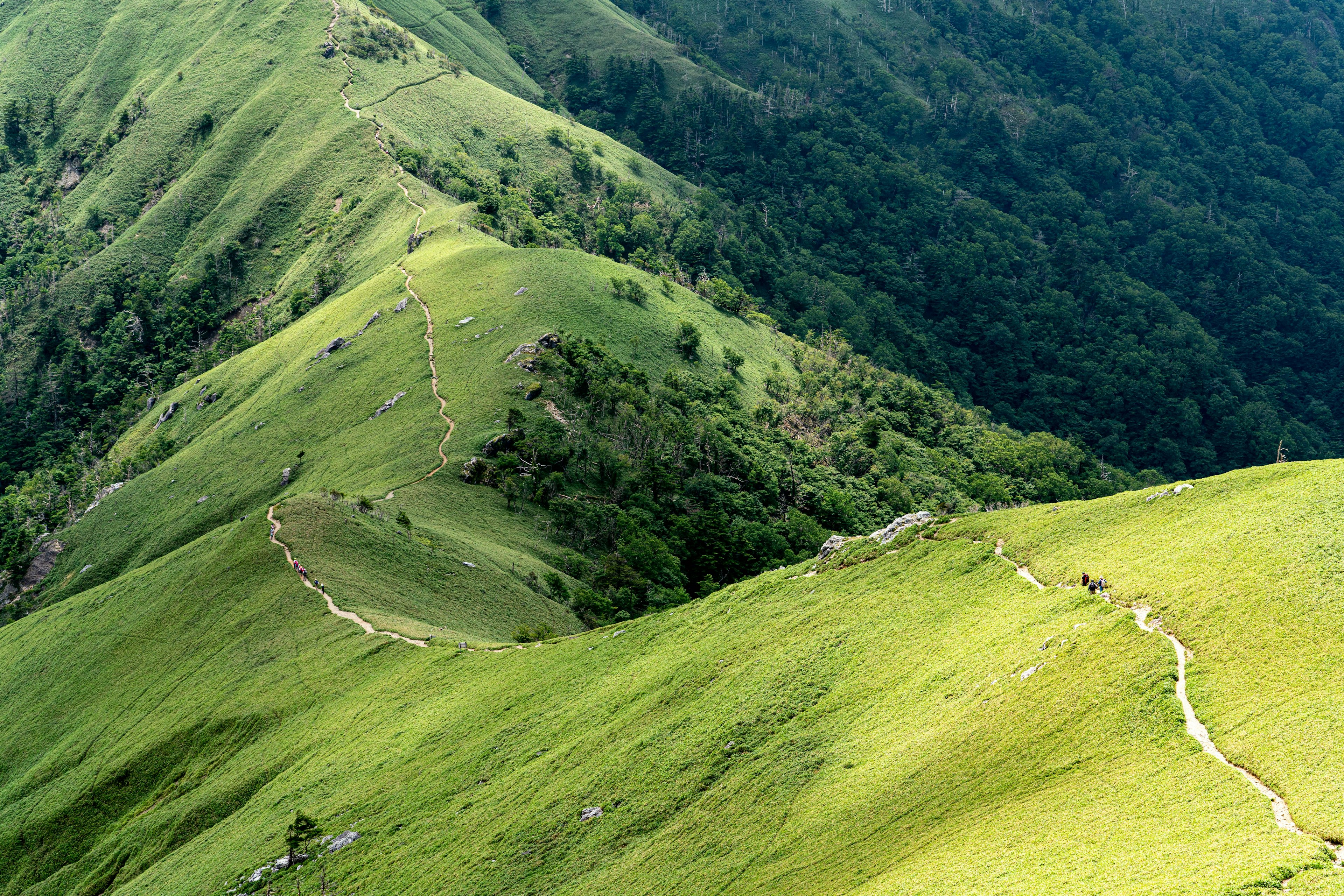 Lush green hills with winding pathways and forested areas