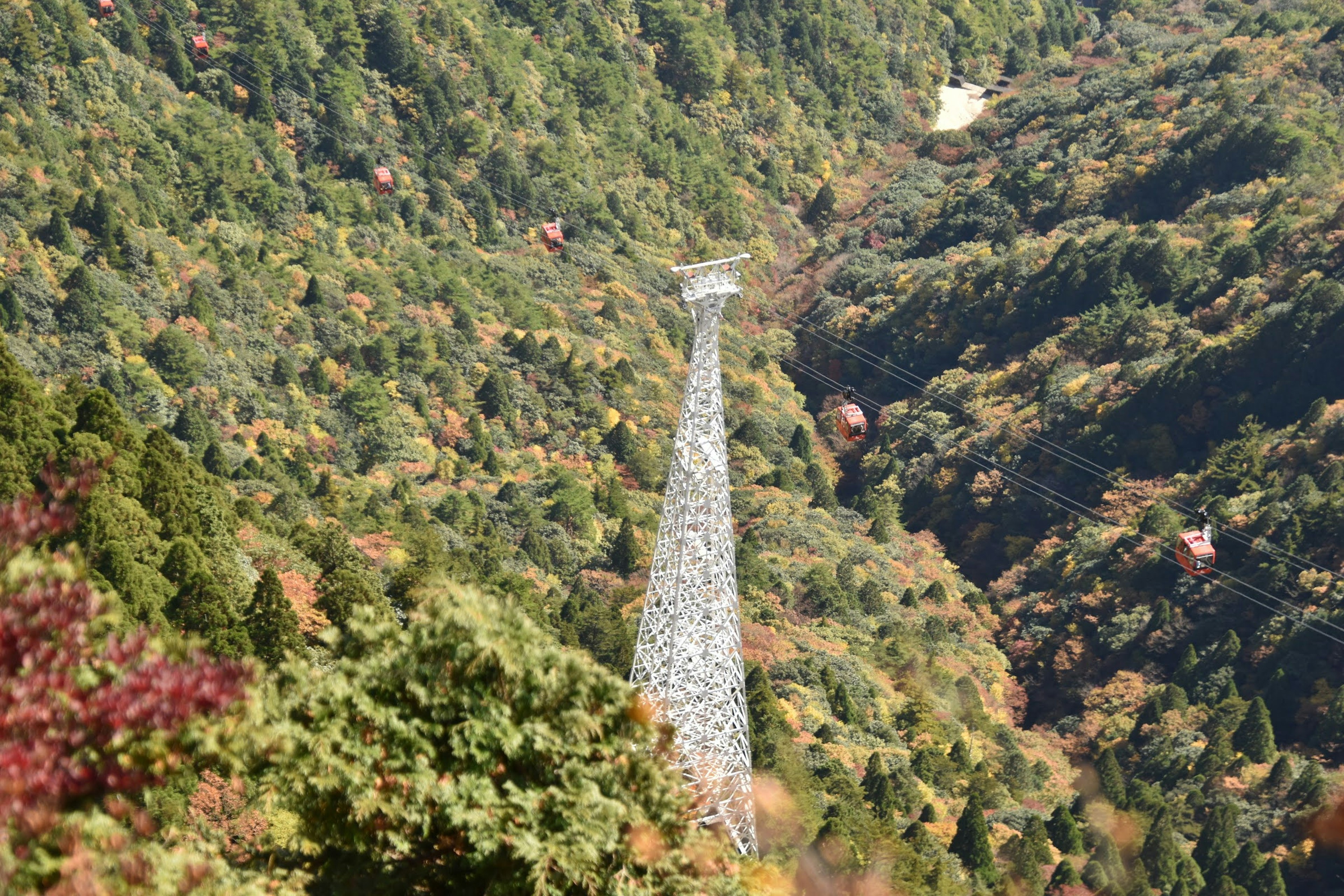 山の中にそびえる送電線の鉄塔と緑の木々